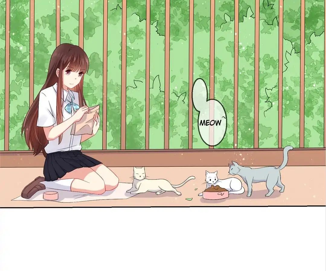 Popular Deskmate is A Cat chapter 27 - page 20