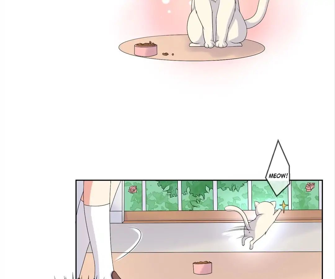 Popular Deskmate is A Cat chapter 21 - page 9
