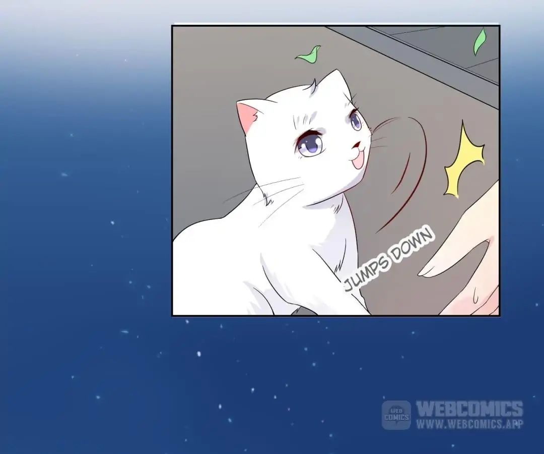 Popular Deskmate is A Cat chapter 20 - page 34
