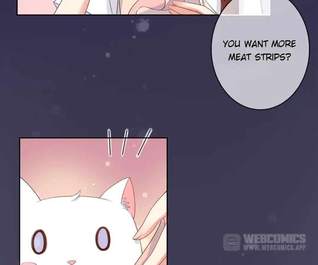 Popular Deskmate is A Cat chapter 10 - page 14