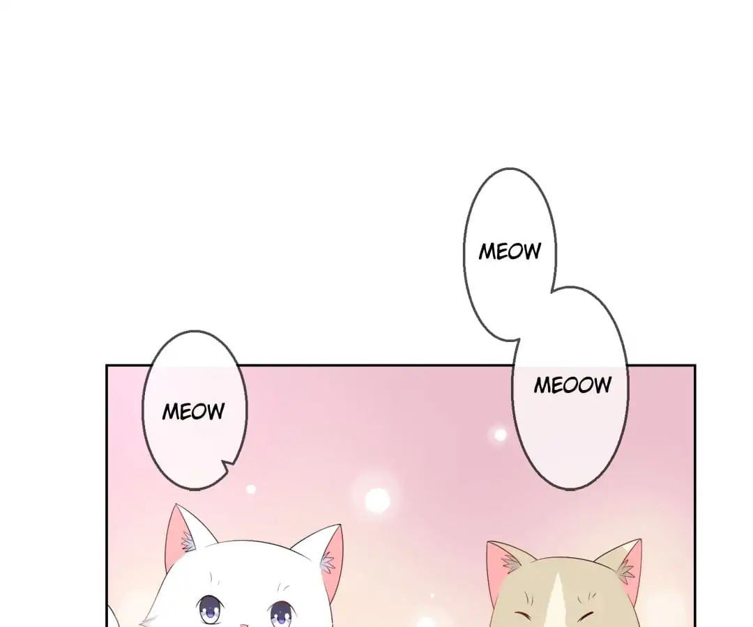 Popular Deskmate is A Cat chapter 10 - page 5
