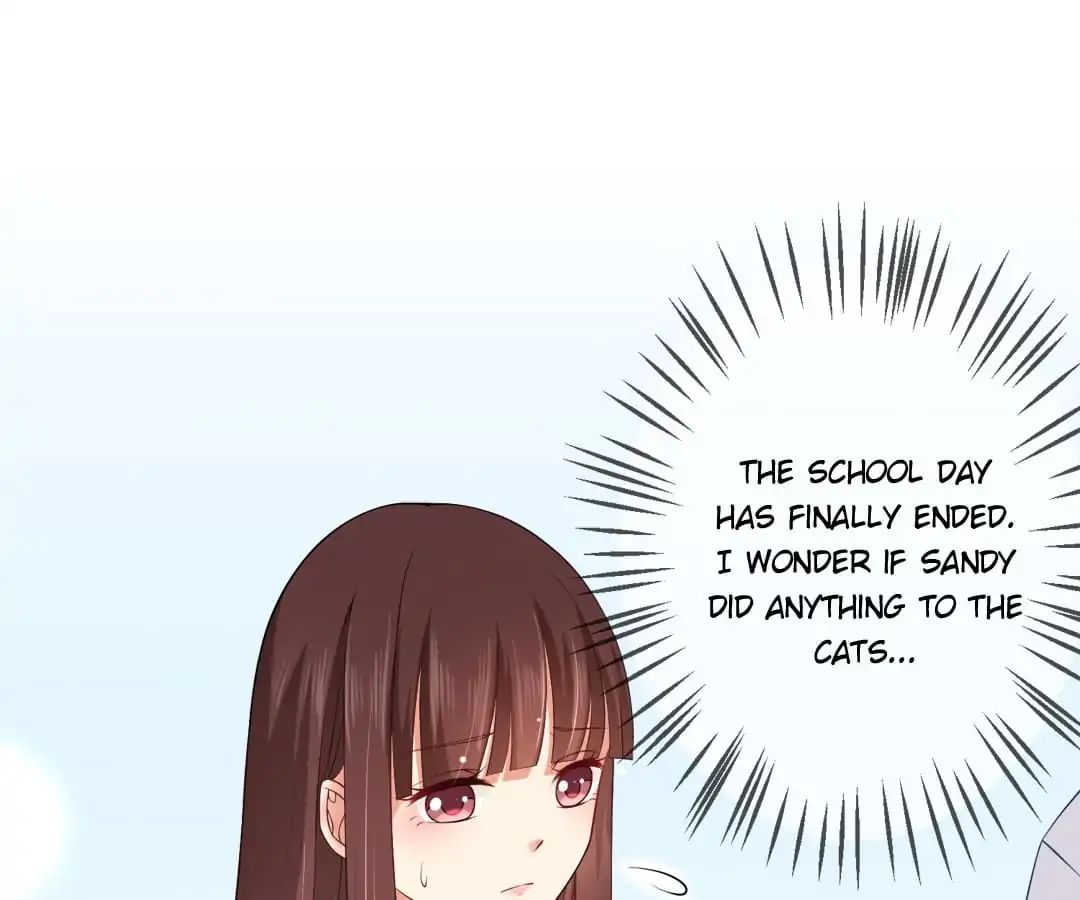 Popular Deskmate is A Cat chapter 8 - page 24