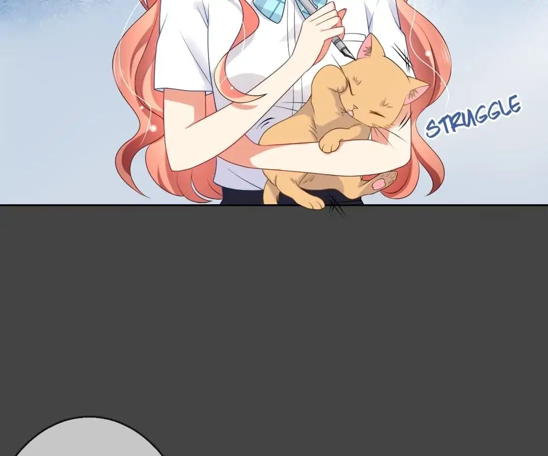 Popular Deskmate is A Cat chapter 7 - page 13