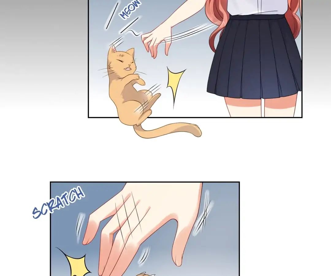 Popular Deskmate is A Cat chapter 7 - page 16