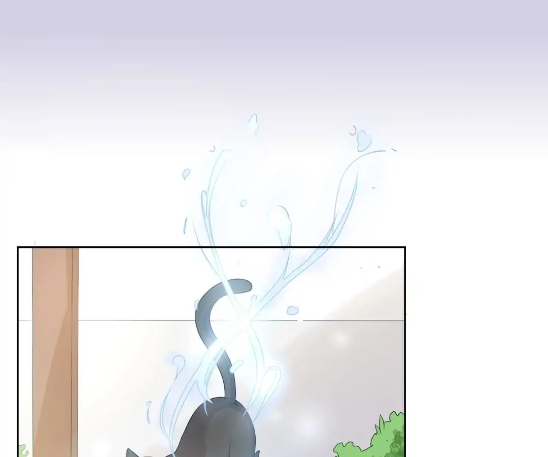 Popular Deskmate is A Cat chapter 7 - page 41