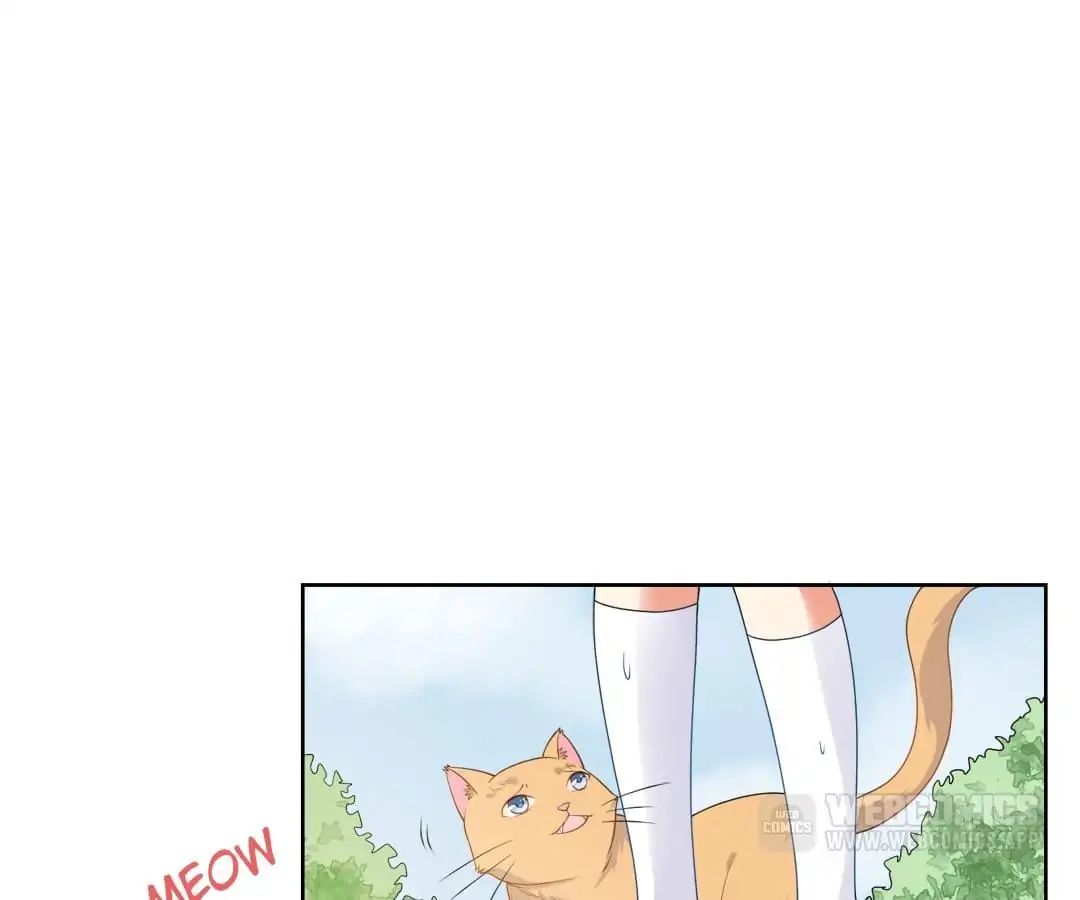 Popular Deskmate is A Cat chapter 6 - page 54