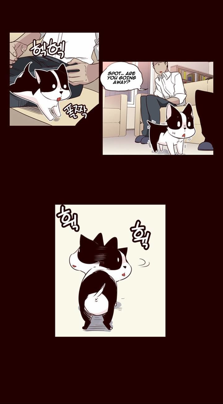 Girls of the Wild’s chapter 133 - page 12