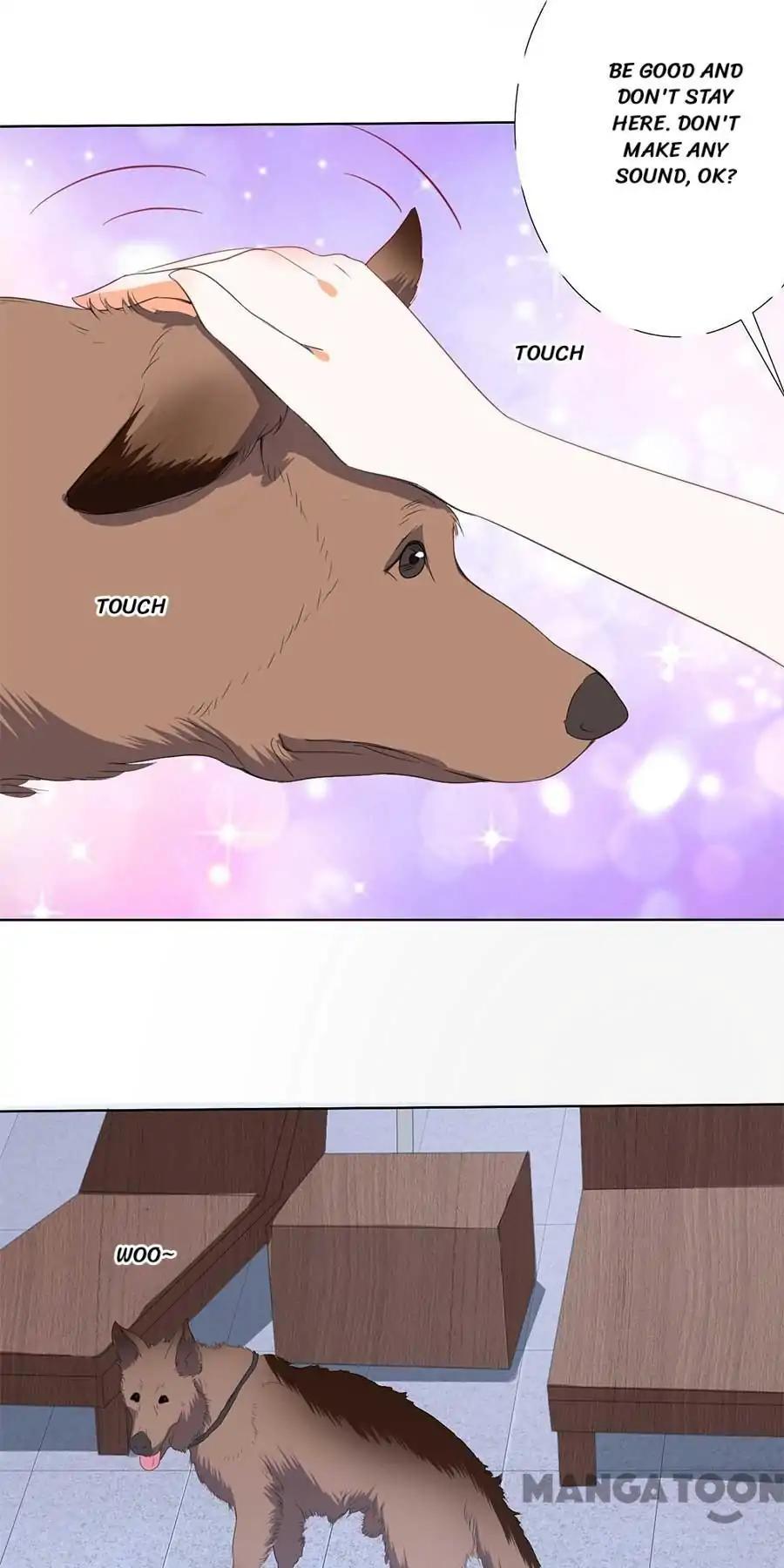 When Doctor Chu Wants Romance chapter 191 - page 11