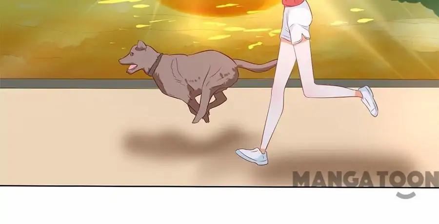 When Doctor Chu Wants Romance chapter 186 - page 4