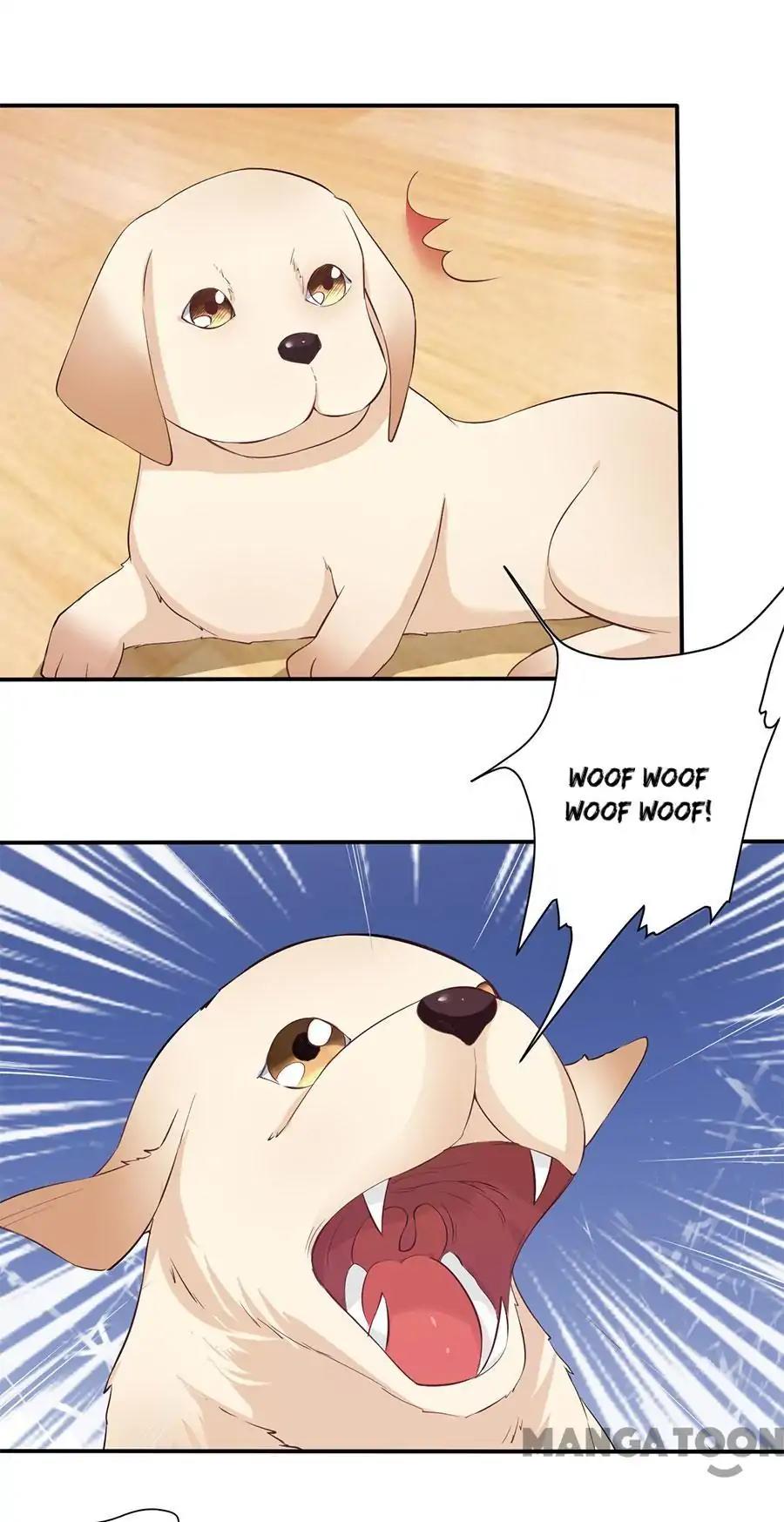 When Doctor Chu Wants Romance chapter 160 - page 16