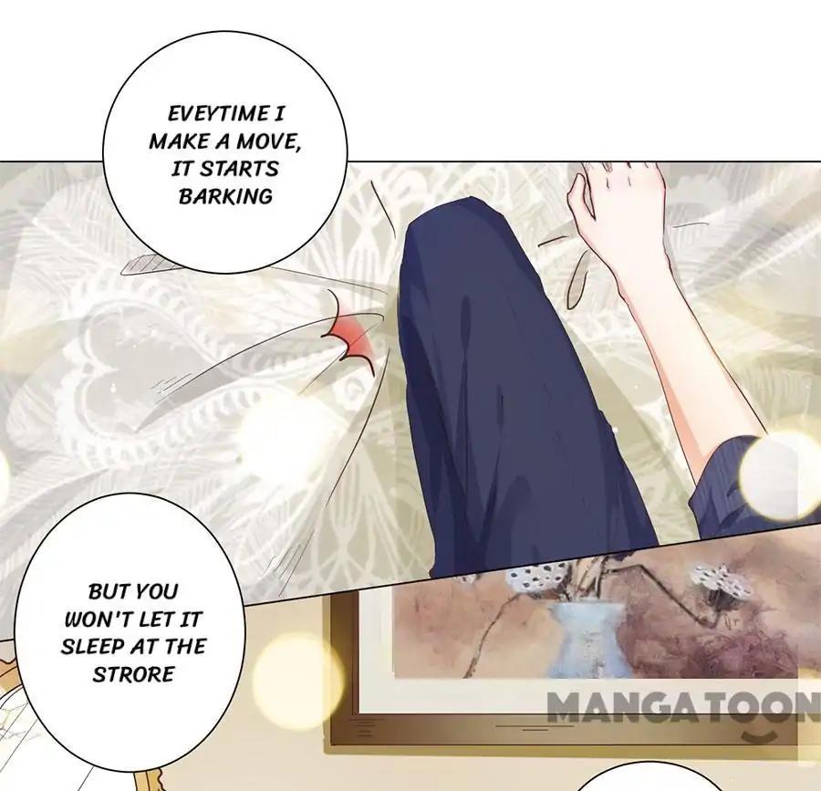 When Doctor Chu Wants Romance chapter 160 - page 23