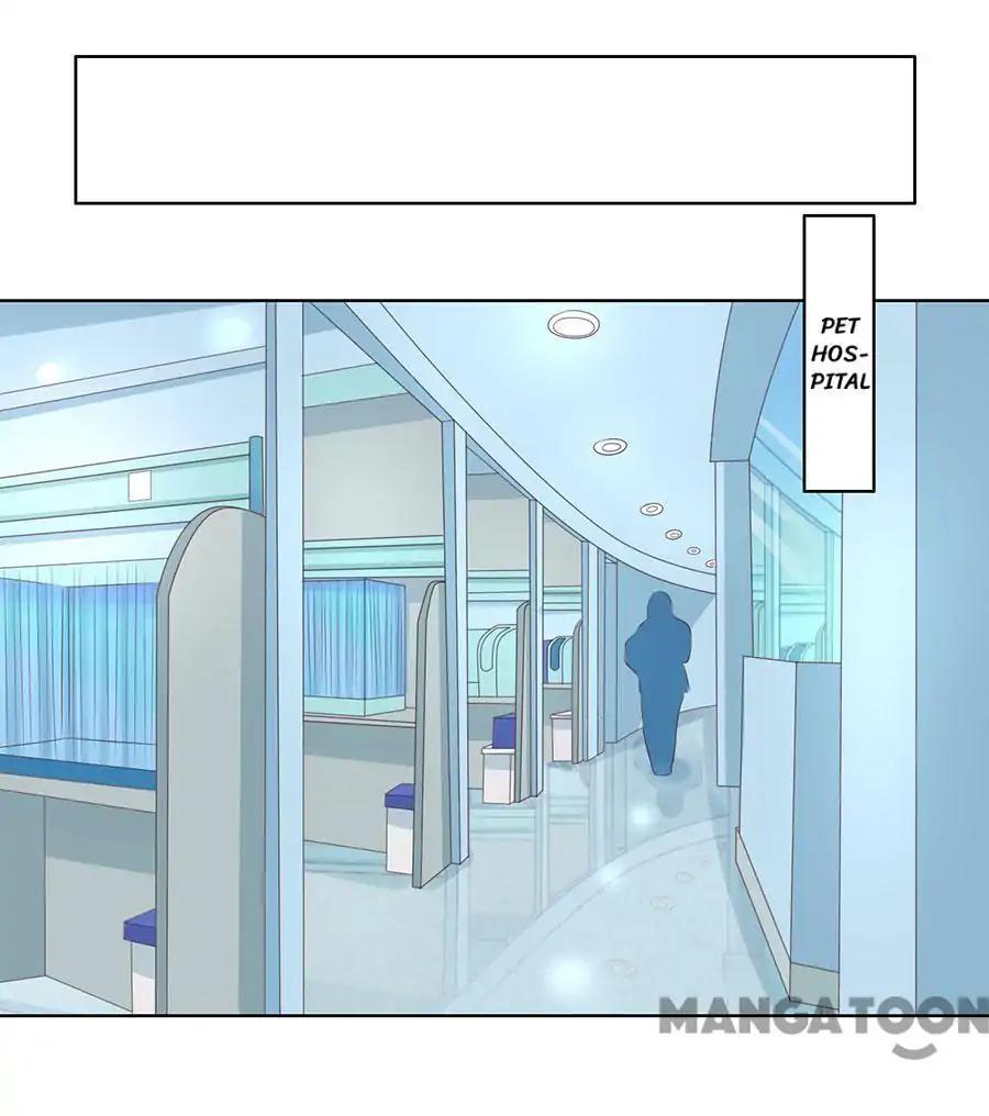 When Doctor Chu Wants Romance chapter 150 - page 24