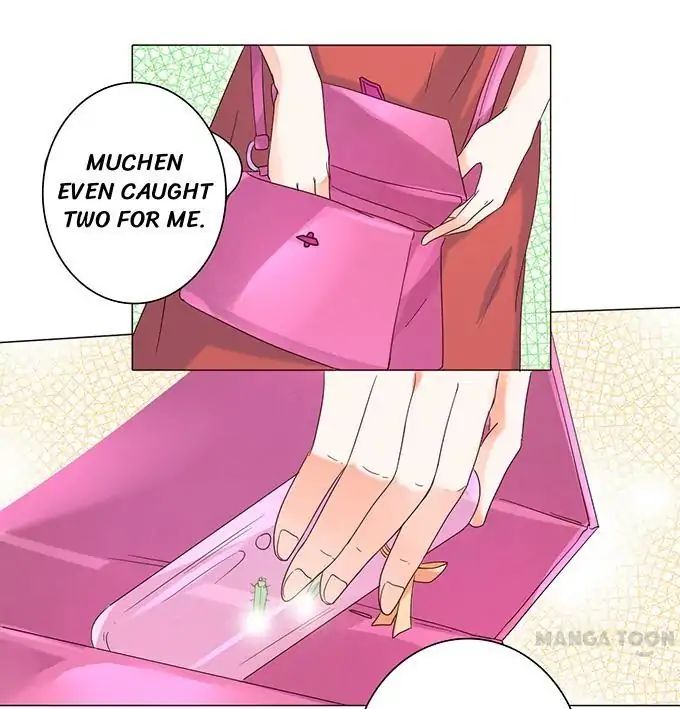 When Doctor Chu Wants Romance chapter 17 - page 24