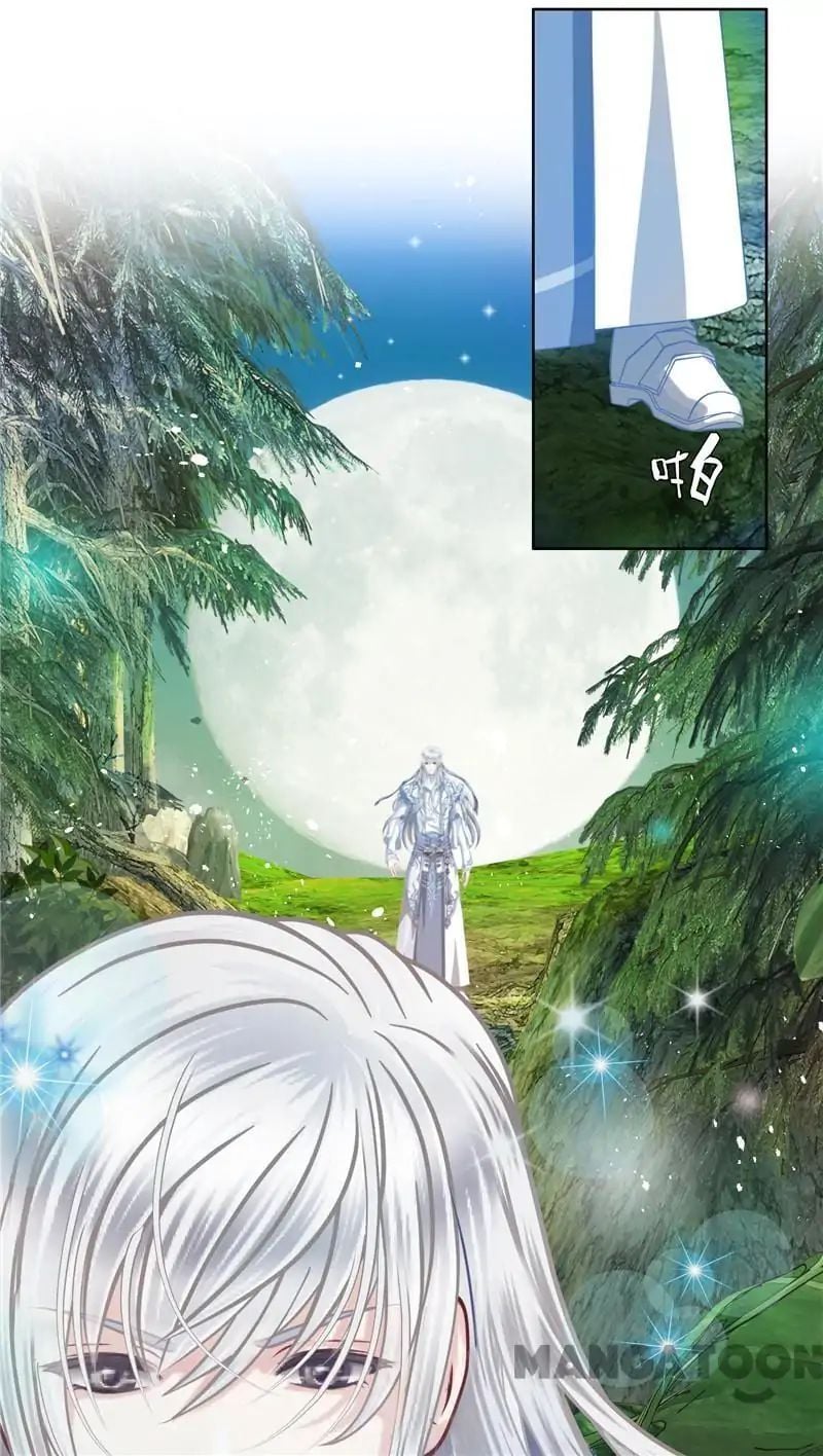 Legend of Moon Night Butterflies Chapter 41 - page 24