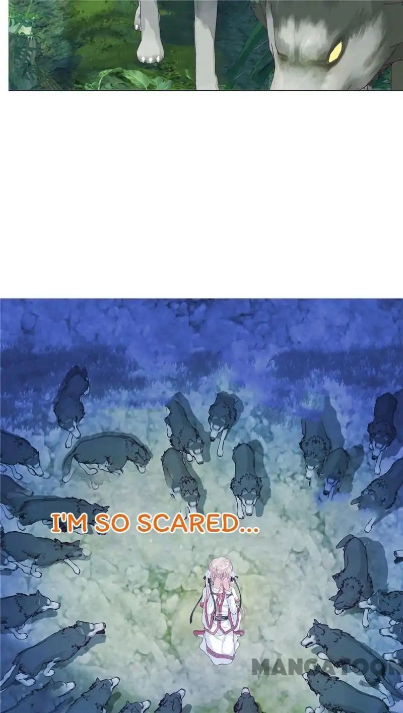 Legend of Moon Night Butterflies Chapter 40 - page 20
