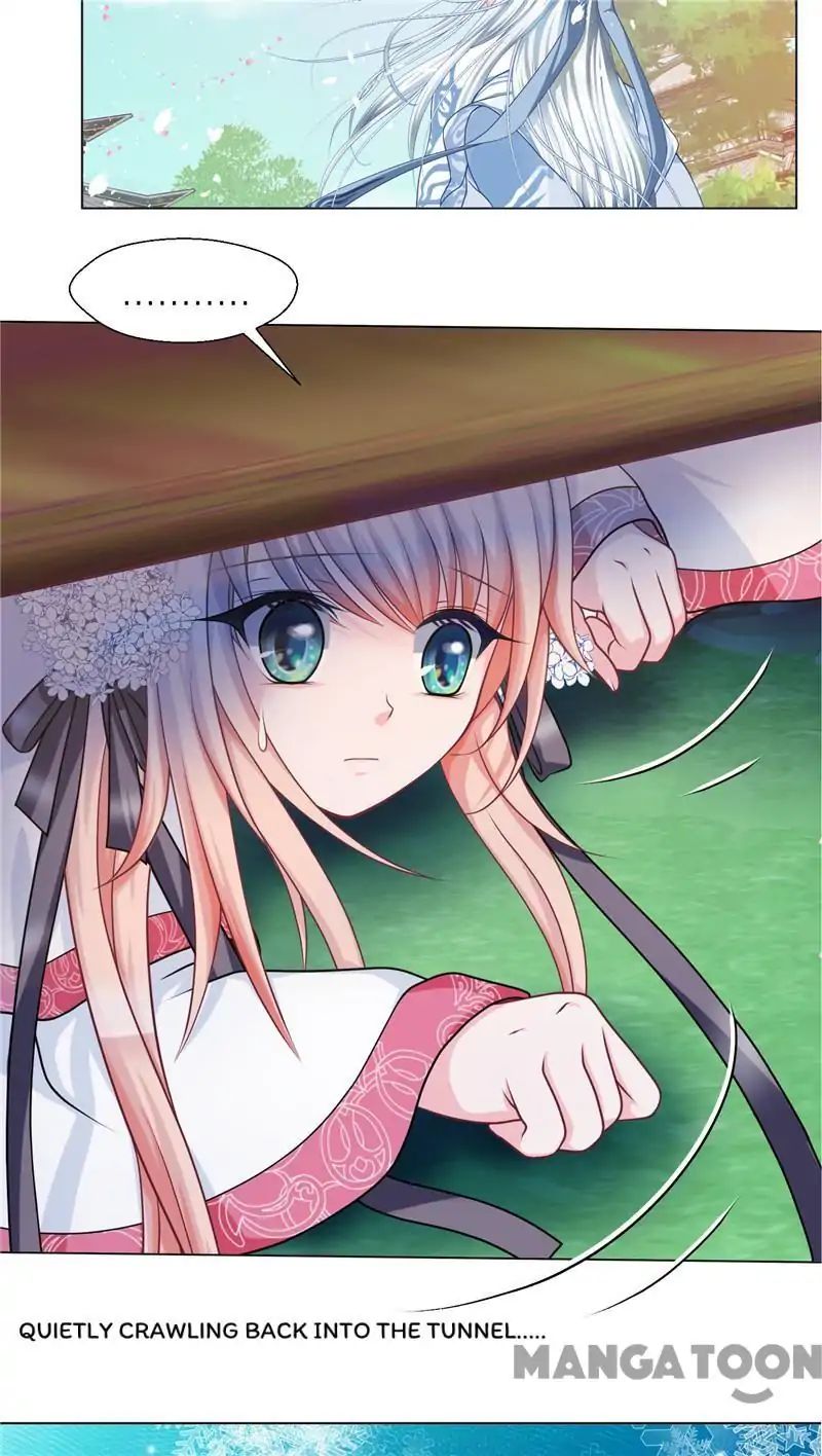 Legend of Moon Night Butterflies Chapter 36 - page 22