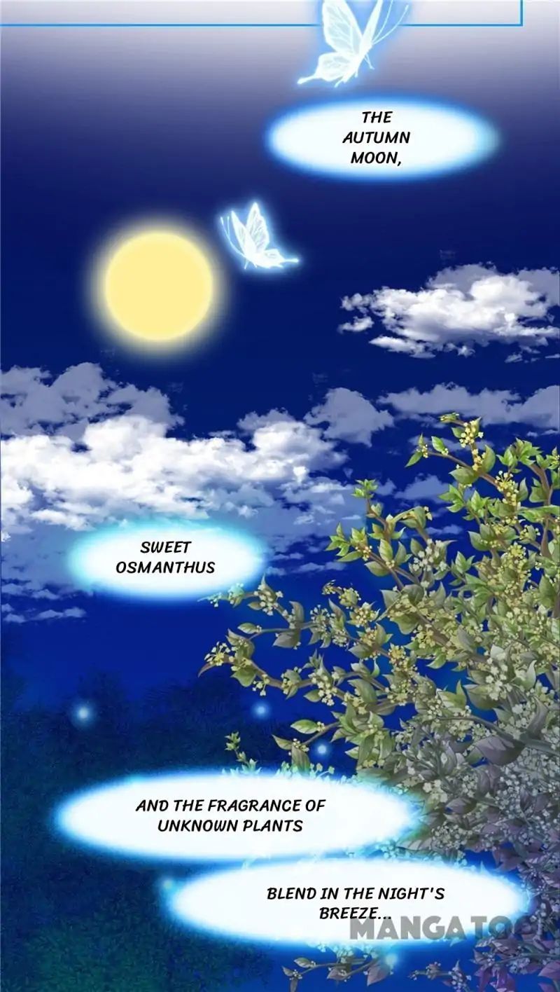 Legend of Moon Night Butterflies Chapter 1 - page 5