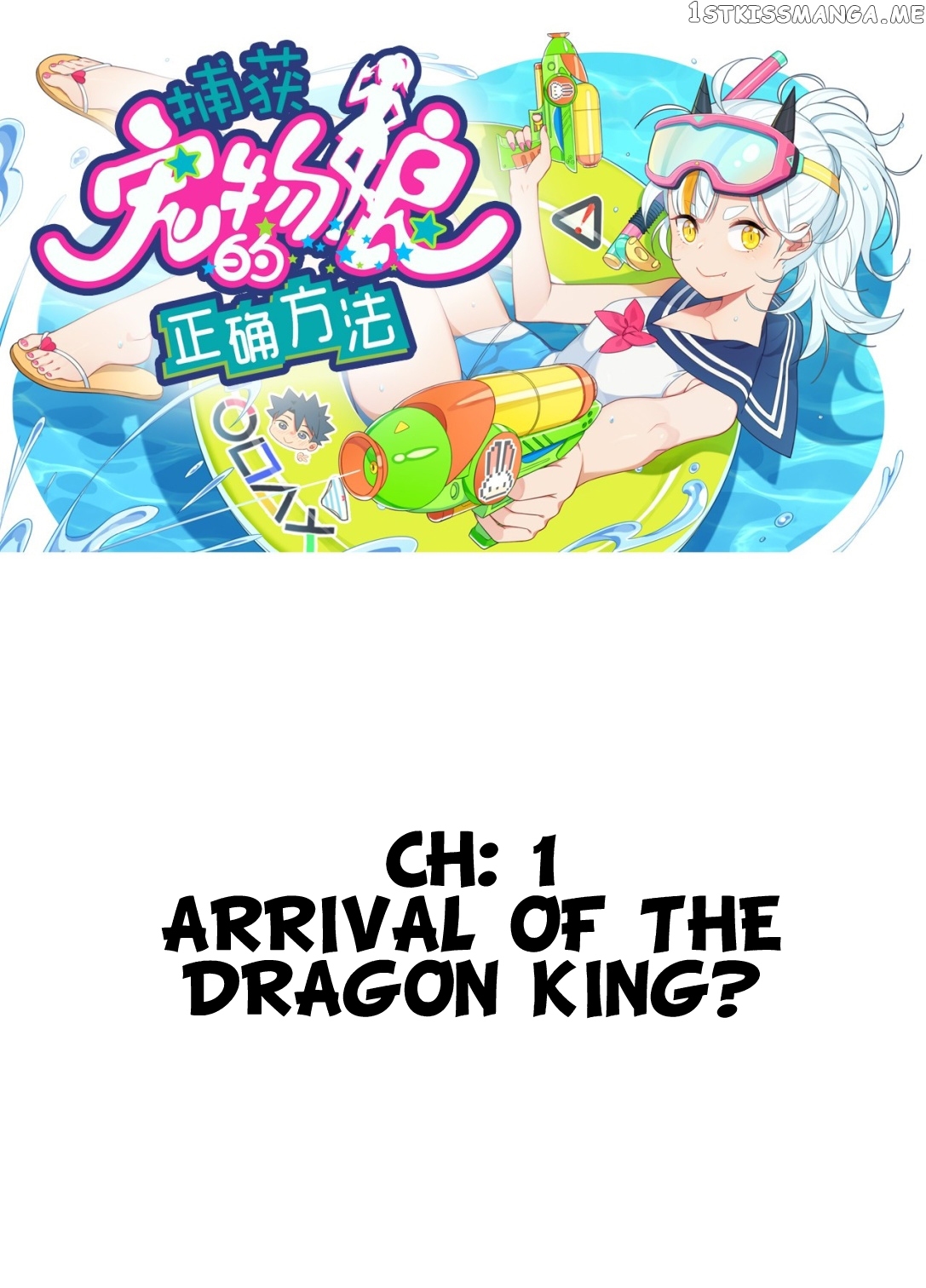 The Correct Way To Catch Pet Waifus Chapter 1 - page 1
