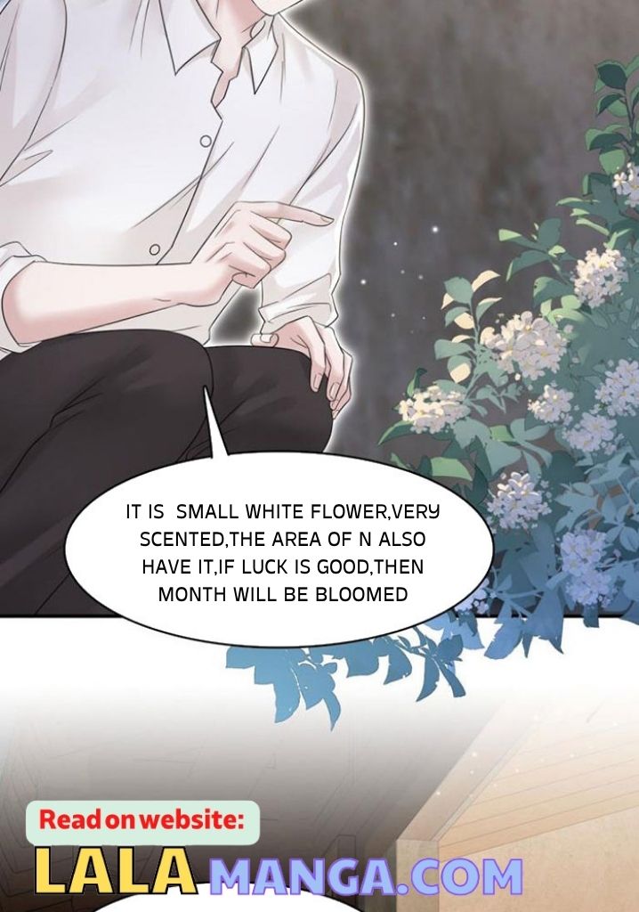 The Day My Alpha Boyfriend Broke Up With Me chapter 11 - page 12
