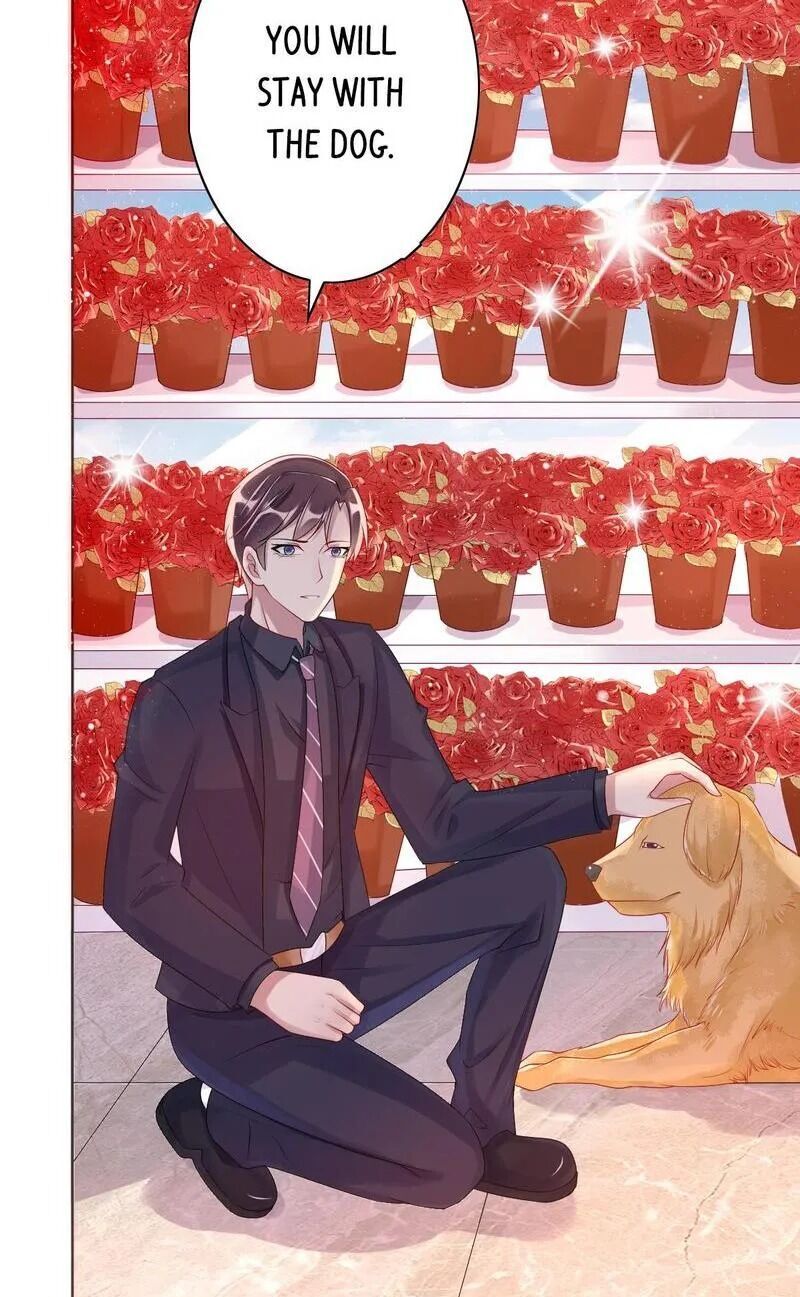 What Should I Do with You, My Worshipper Sis? Chapter 8 - page 12