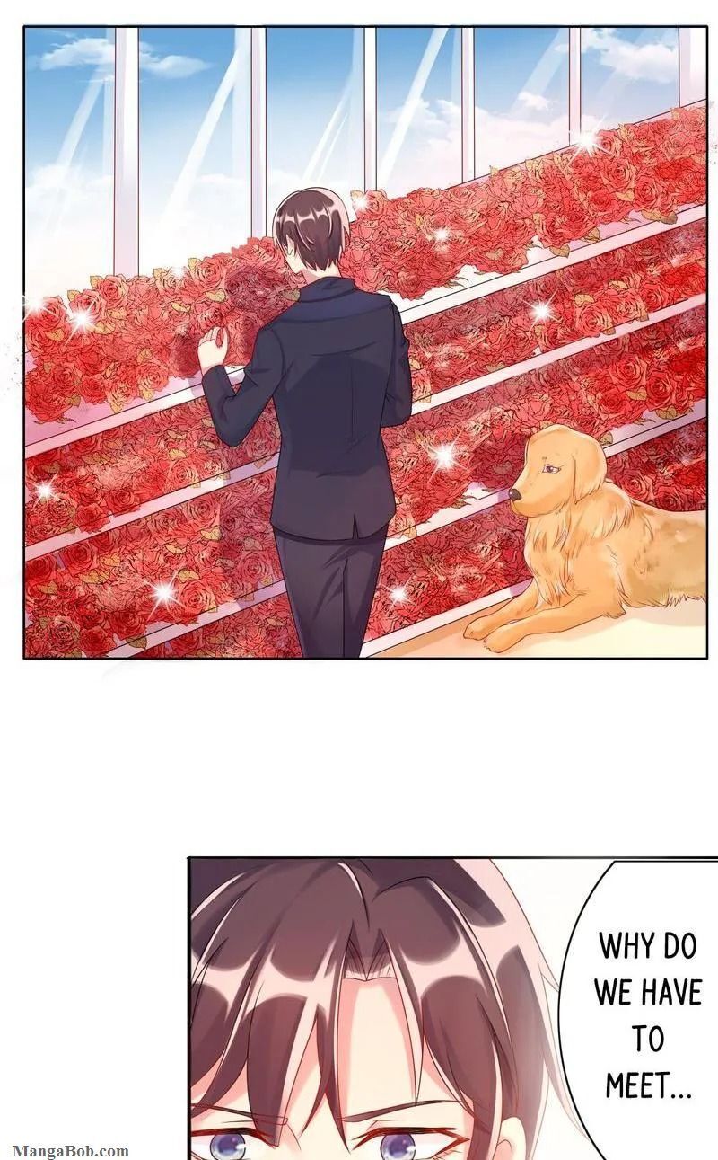 What Should I Do with You, My Worshipper Sis? Chapter 7 - page 2