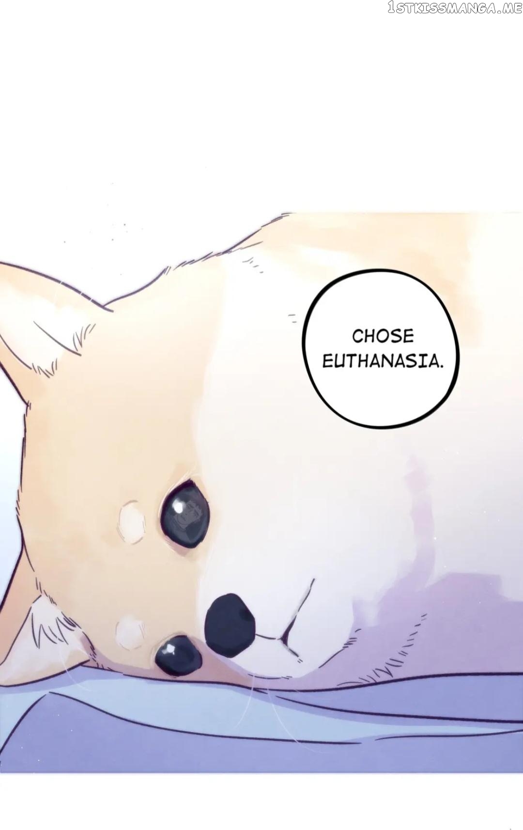 Trapping the Foxy Doctor Chapter 52 - page 11