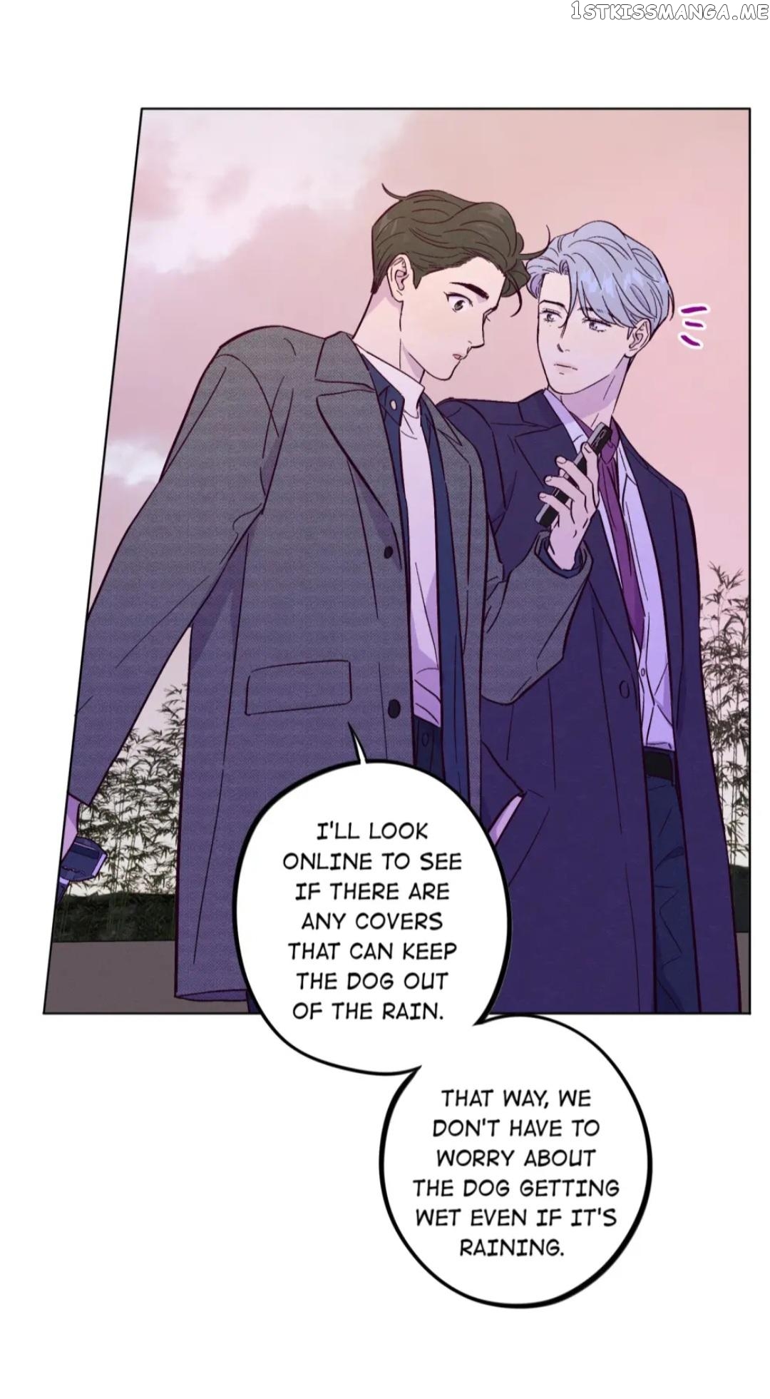 Trapping the Foxy Doctor Chapter 51 - page 20