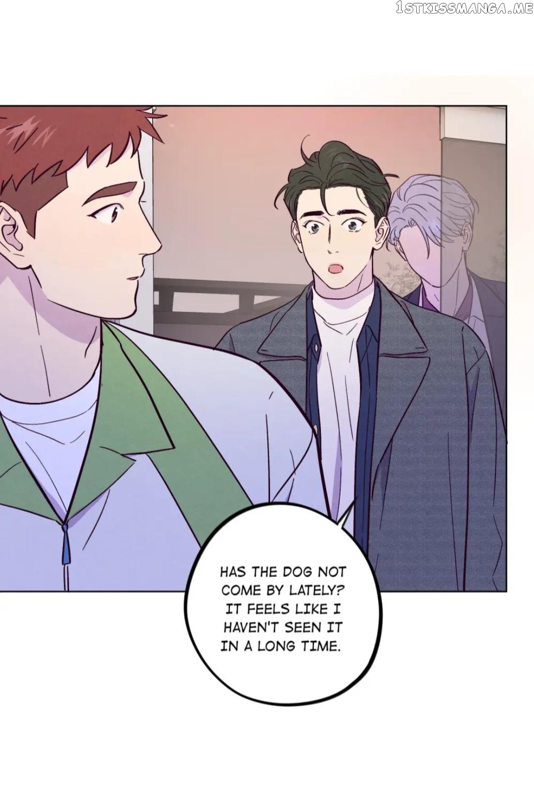 Trapping the Foxy Doctor Chapter 51 - page 36