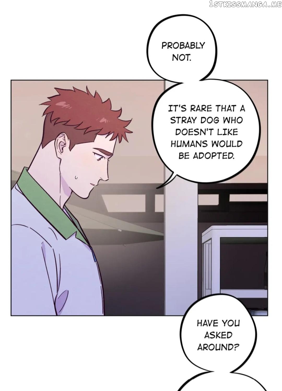 Trapping the Foxy Doctor Chapter 51 - page 40