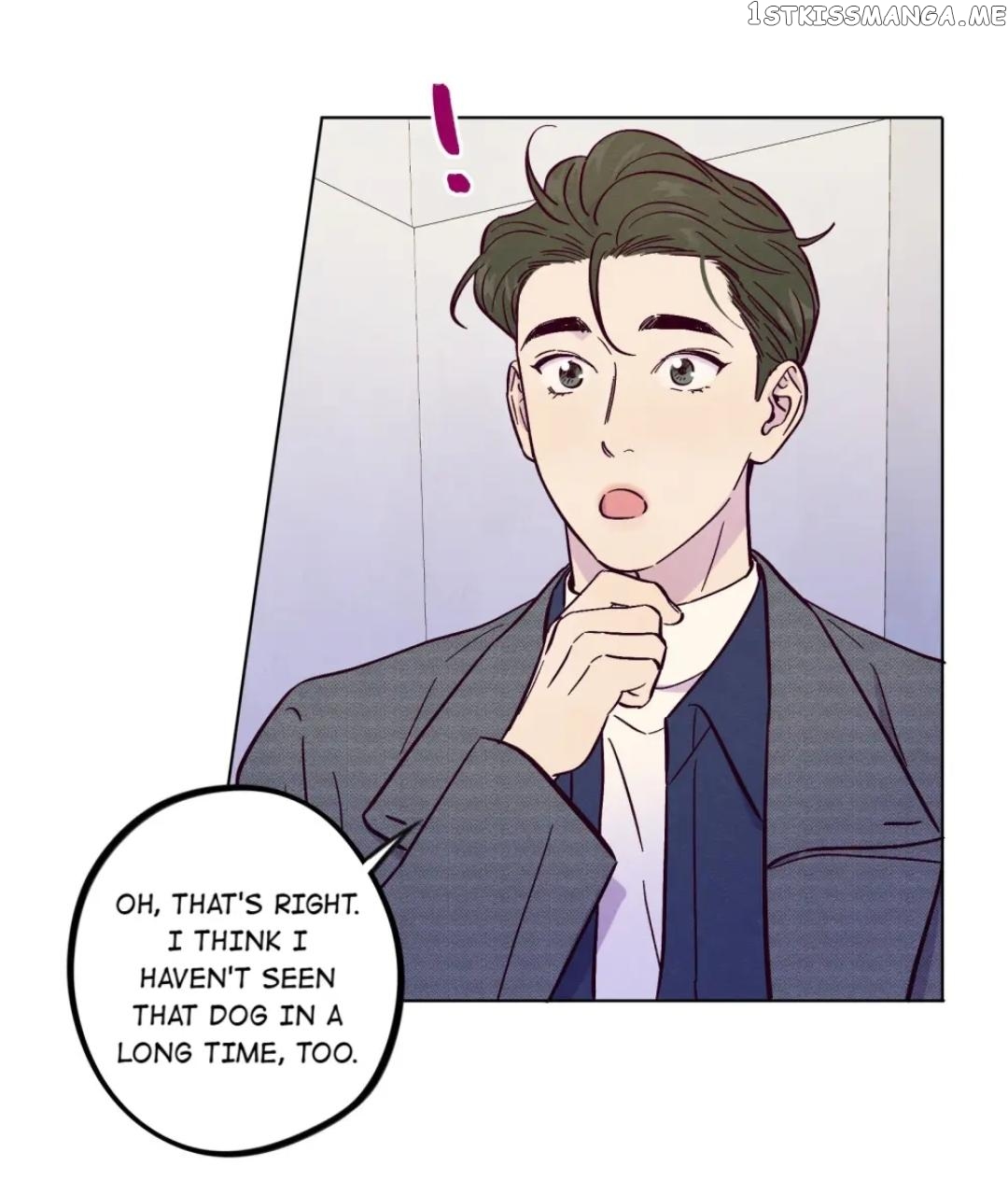 Trapping the Foxy Doctor Chapter 50 - page 6