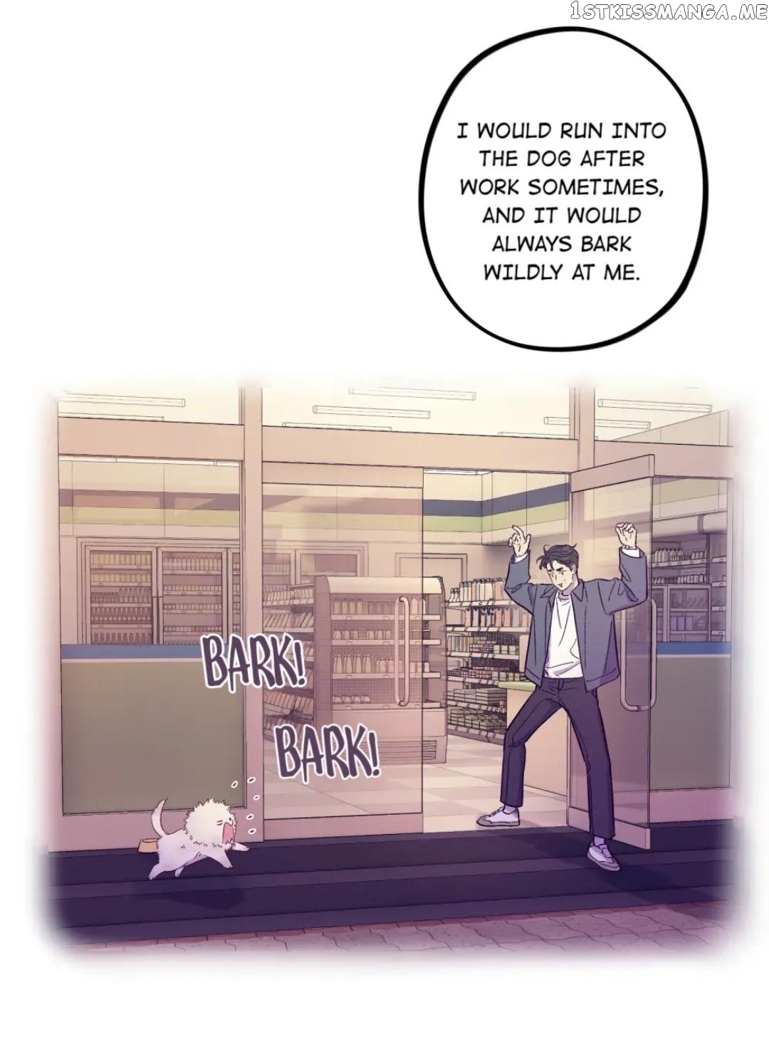 Trapping the Foxy Doctor Chapter 50 - page 7
