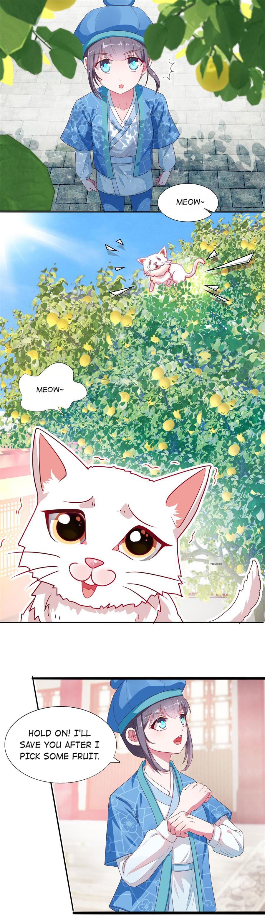 The Beloved Yin Yang Consort chapter 9 - page 9