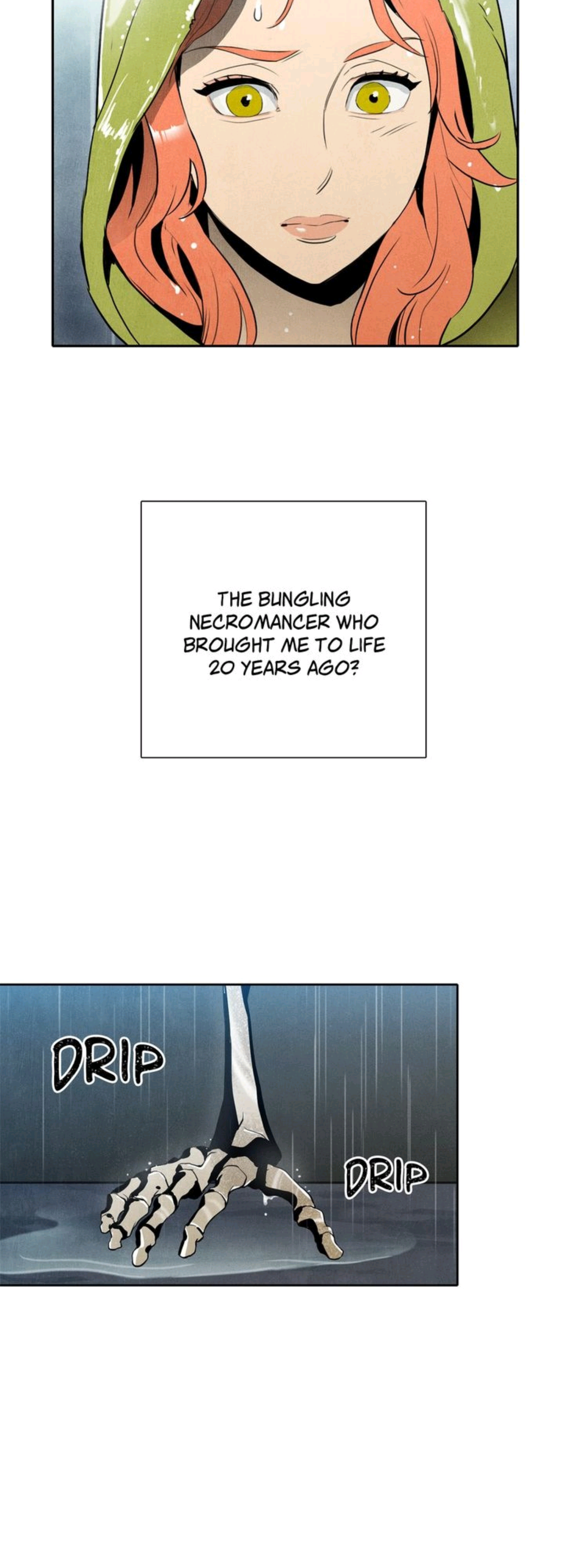The Skeleton Soldier Failed to Defend the Dungeon Chapter 1 - page 20