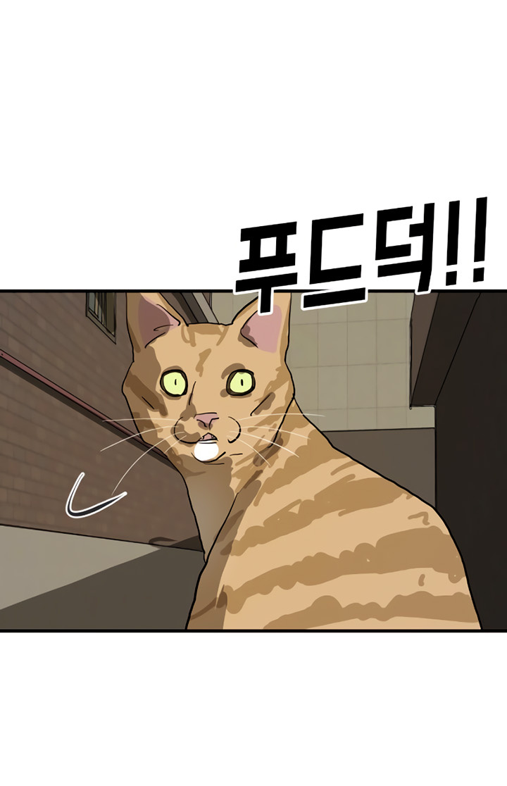 One Day, Suddenly, Seoul Is chapter 14 - page 64