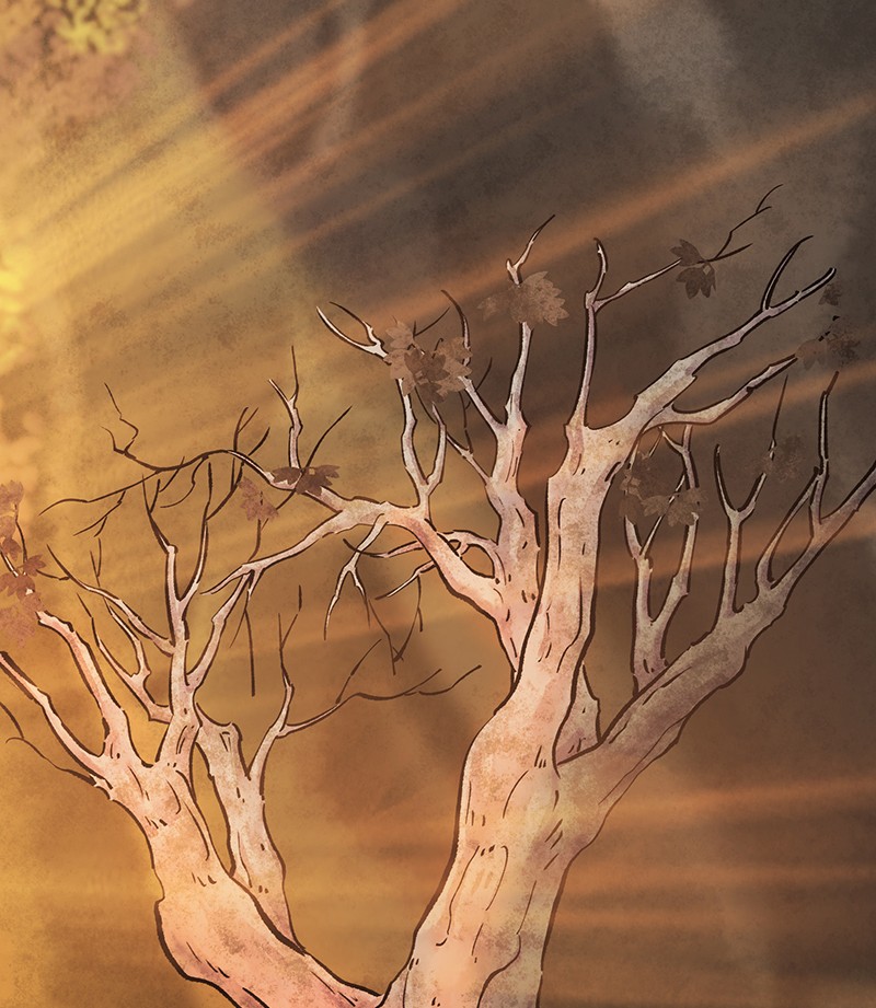 The Witch and The Bull Chapter 17 - page 64