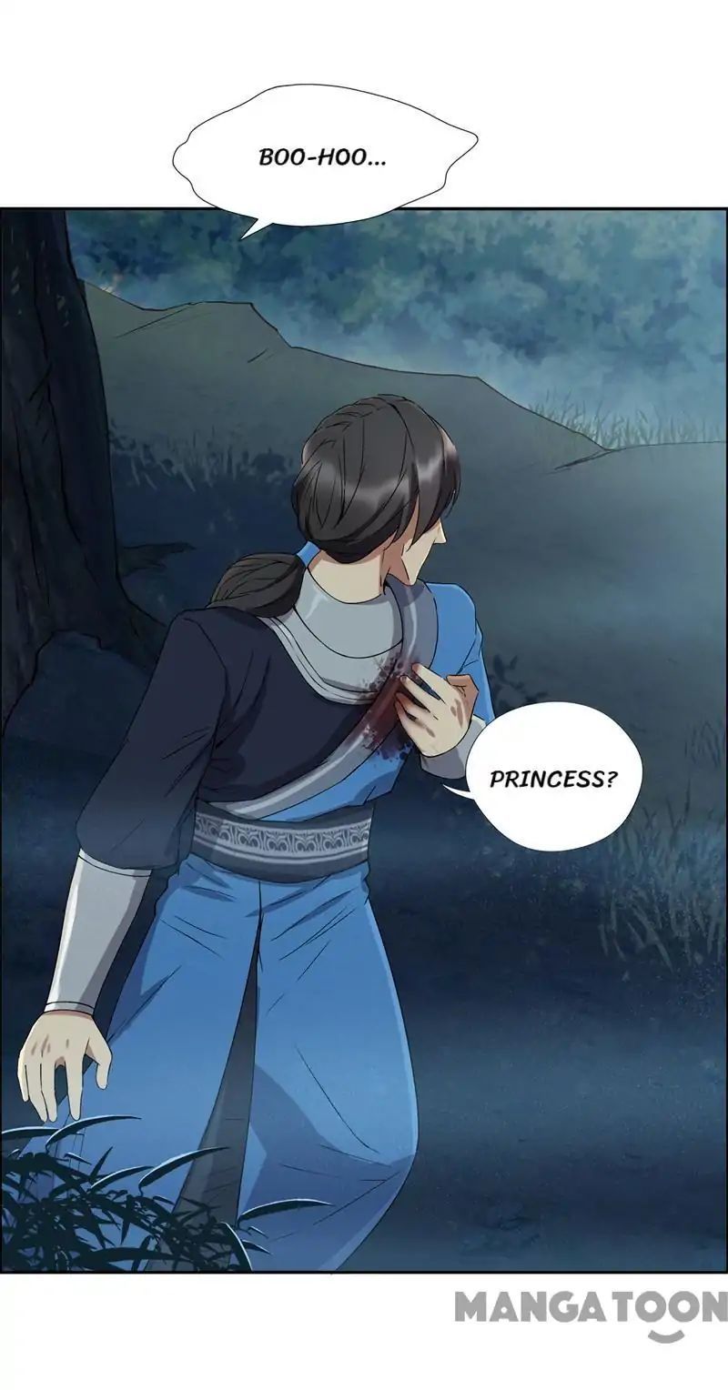 Revenge of a Fierce Princess Chapter 58 - page 4