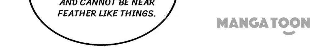 First Miss Reborn chapter 149 - page 5