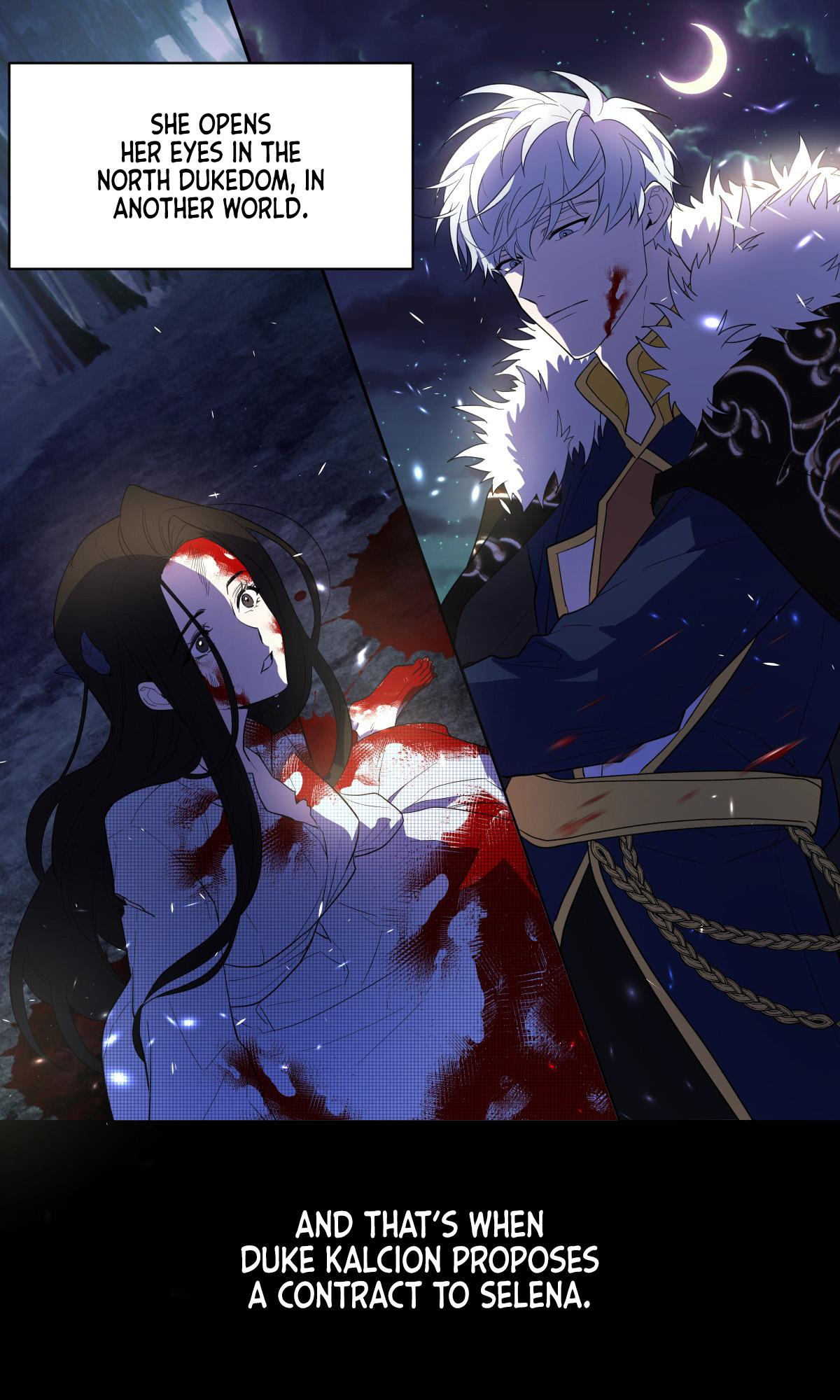 I Will Seduce the Northern Duke Chapter 0 - page 3