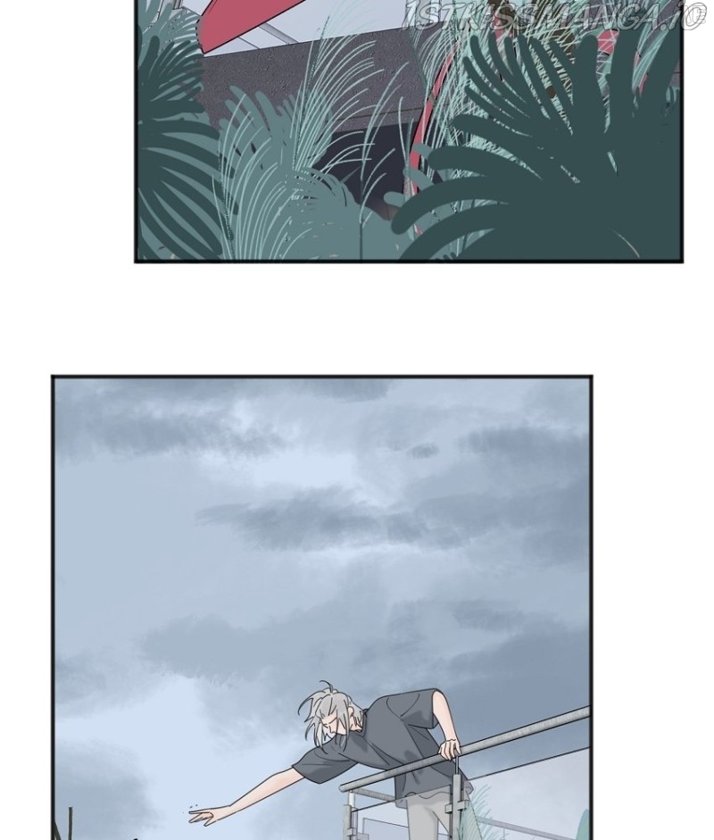 The Looks of Love: the heart has its reasons Chapter 91.5 - page 8