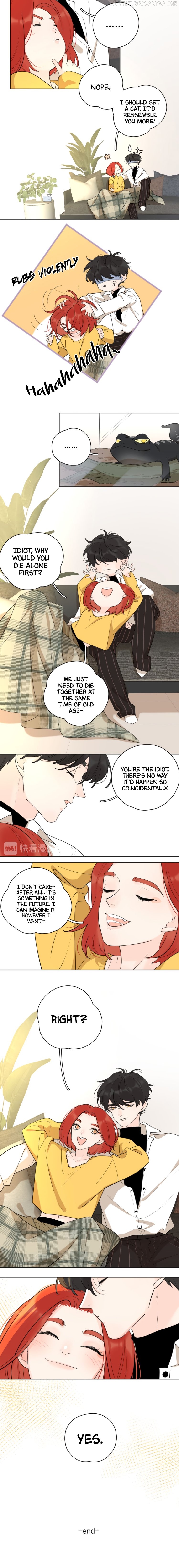 The Looks of Love: the heart has its reasons Chapter 62.6 - page 5