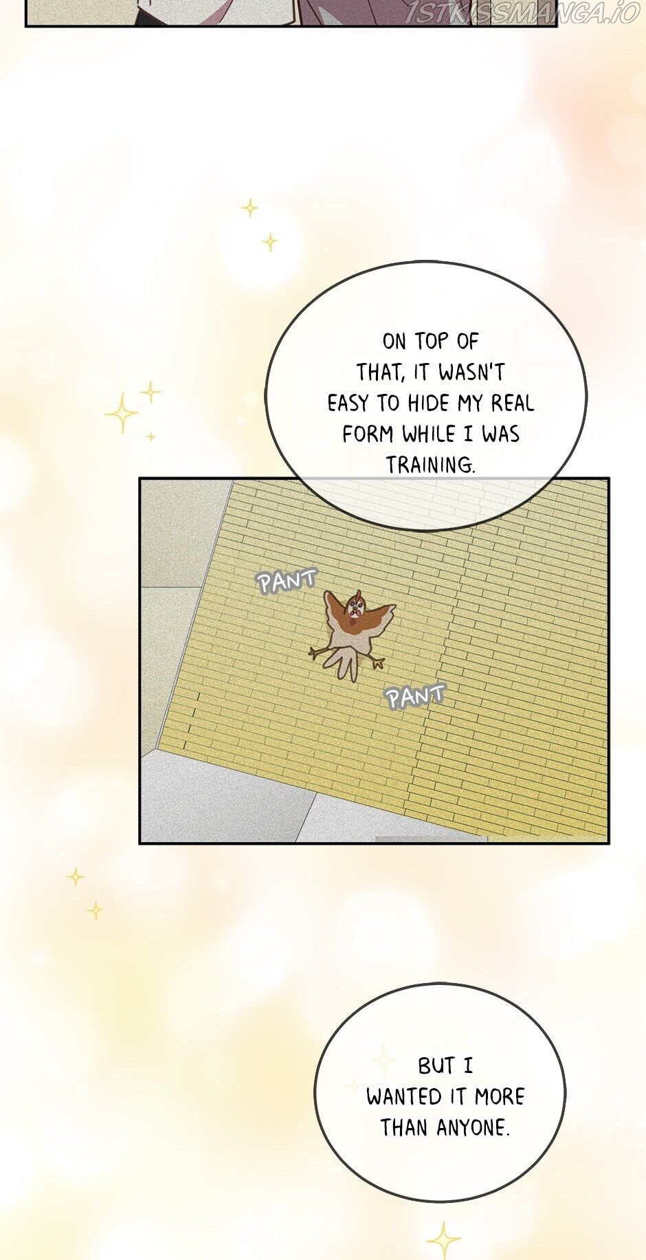 An animal hospital in the border area chapter 50 - page 51