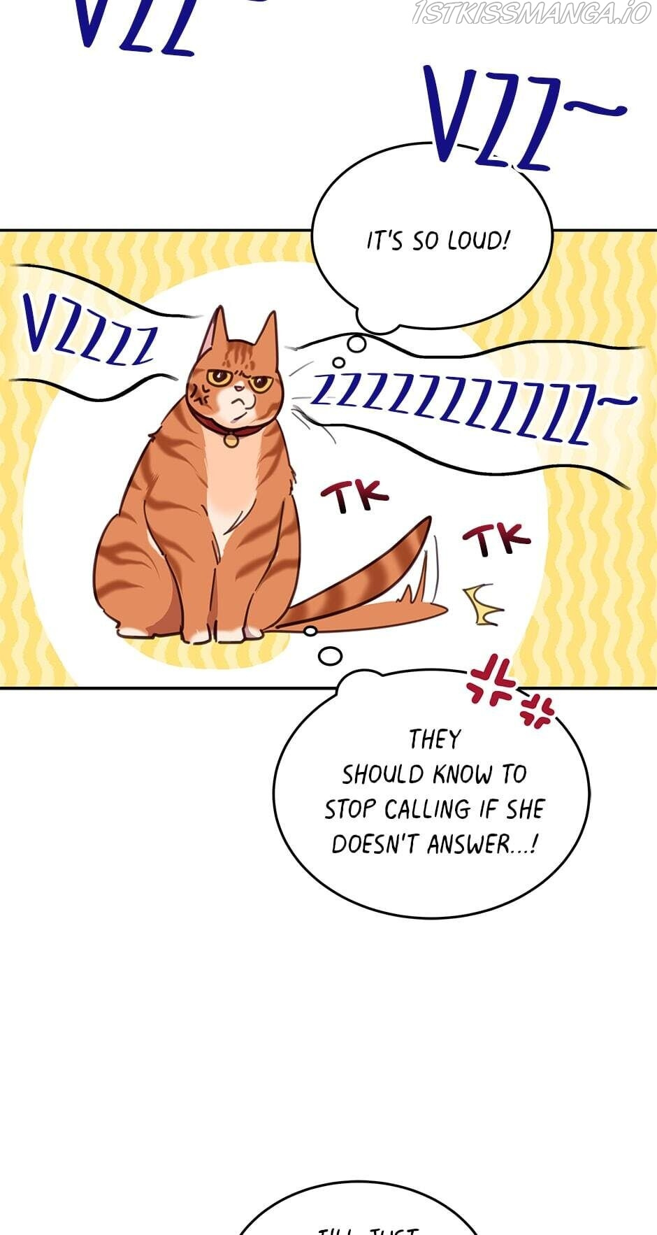 An animal hospital in the border area chapter 28 - page 10