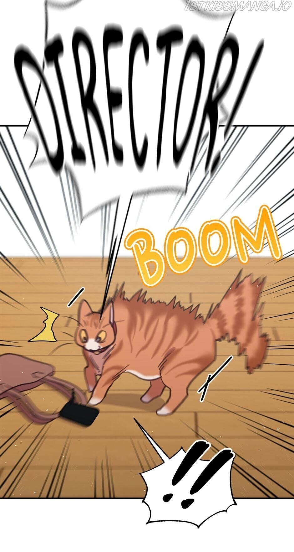 An animal hospital in the border area chapter 28 - page 12
