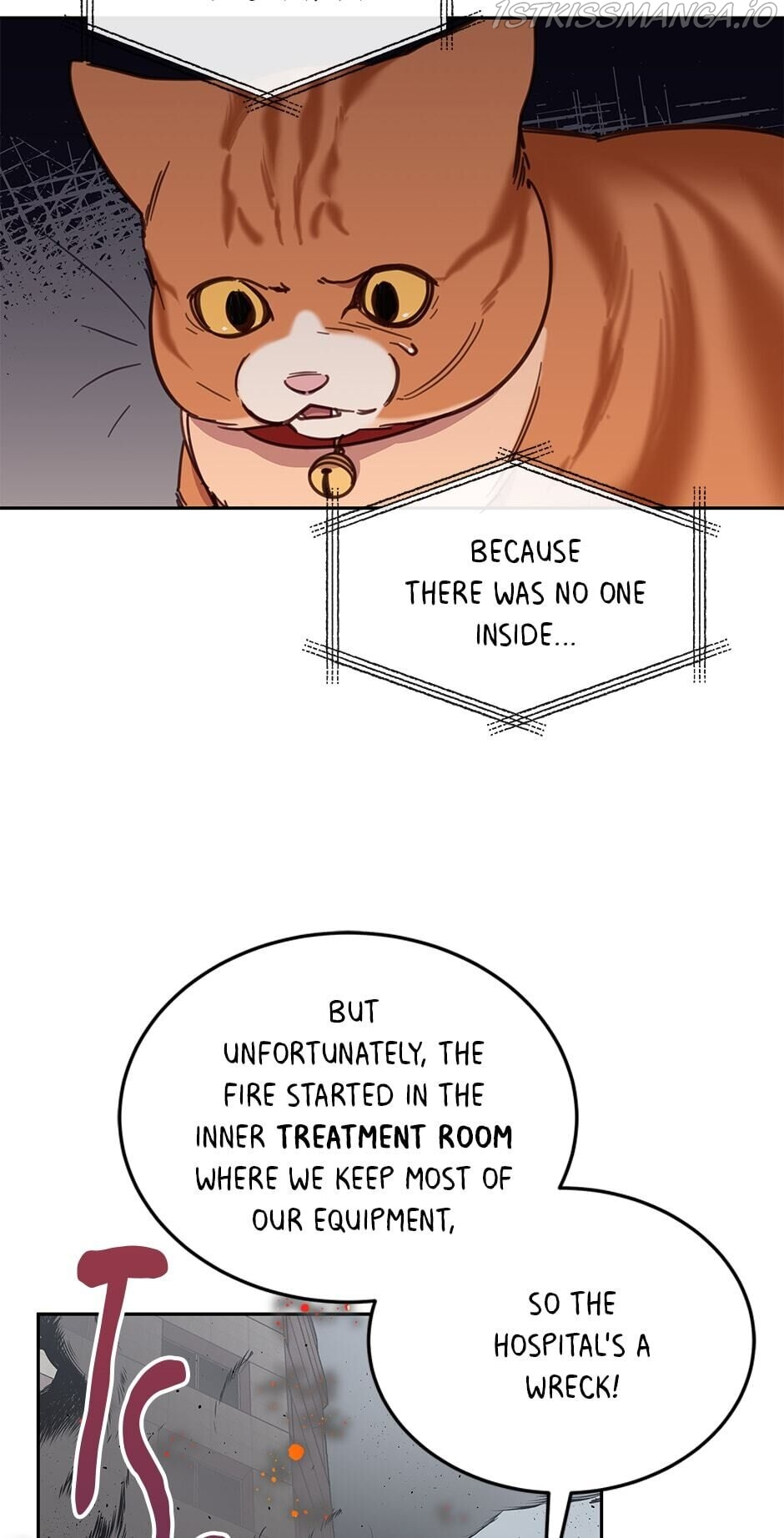 An animal hospital in the border area chapter 28 - page 15
