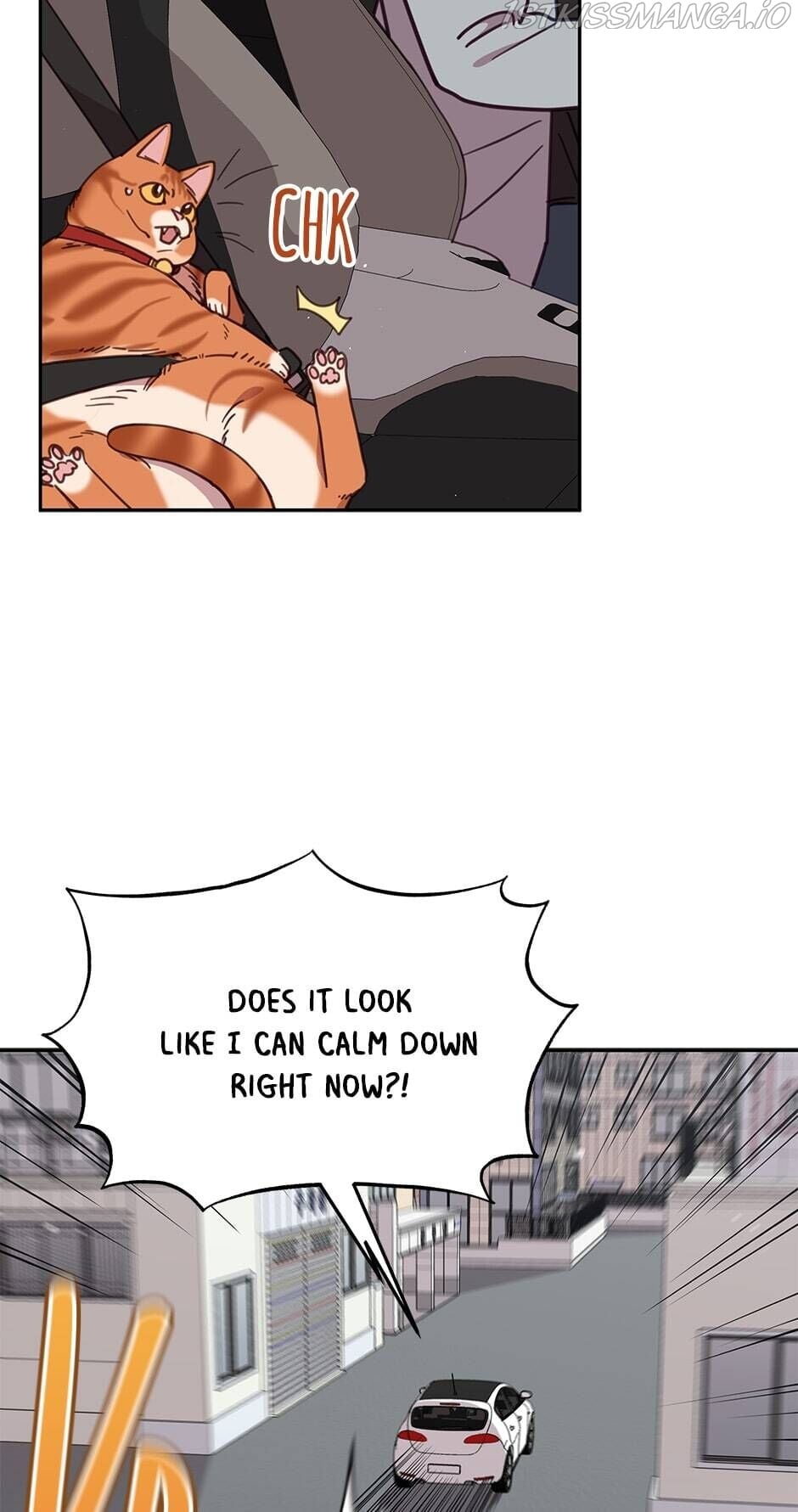 An animal hospital in the border area chapter 28 - page 23
