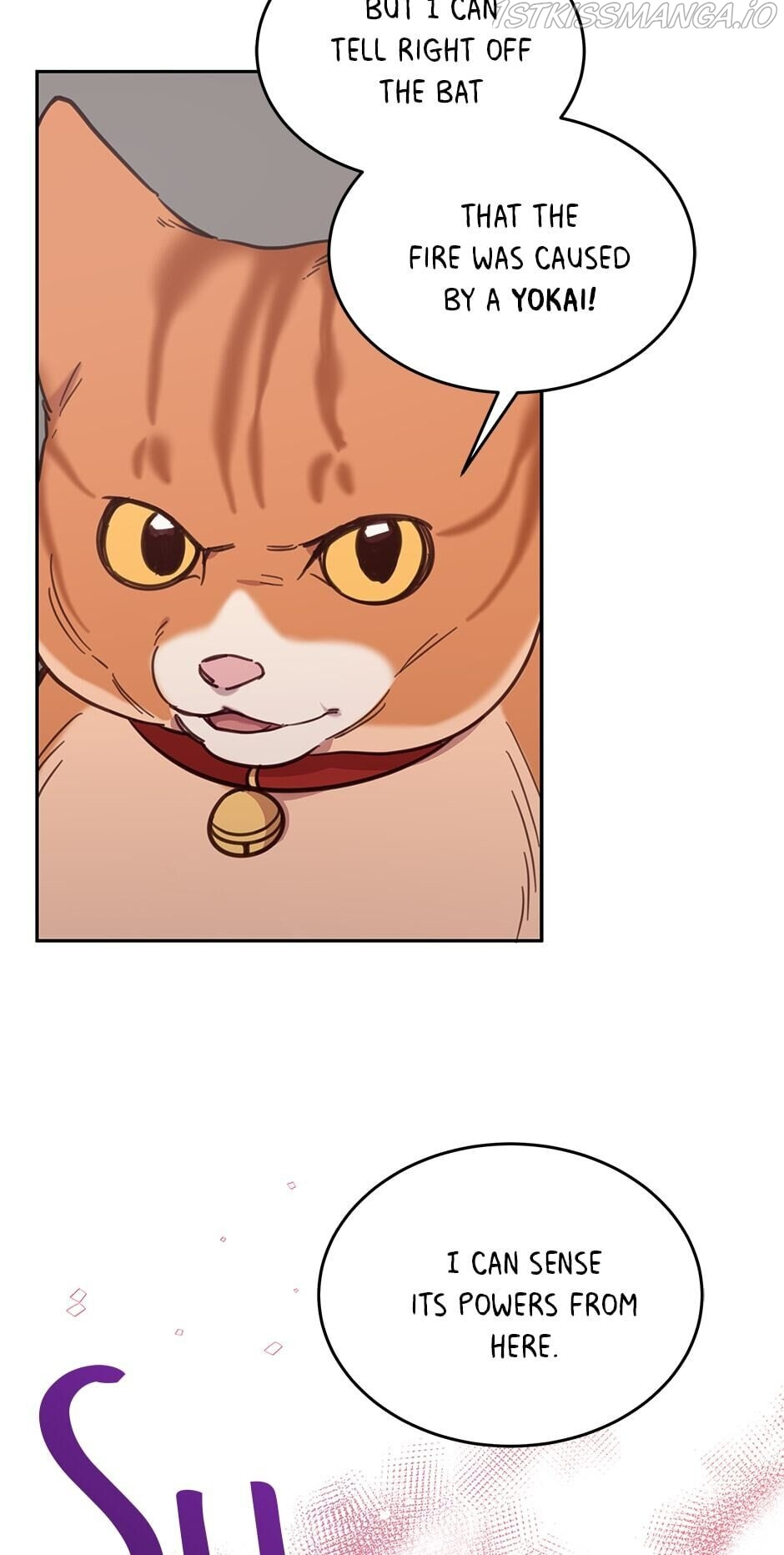 An animal hospital in the border area chapter 28 - page 29