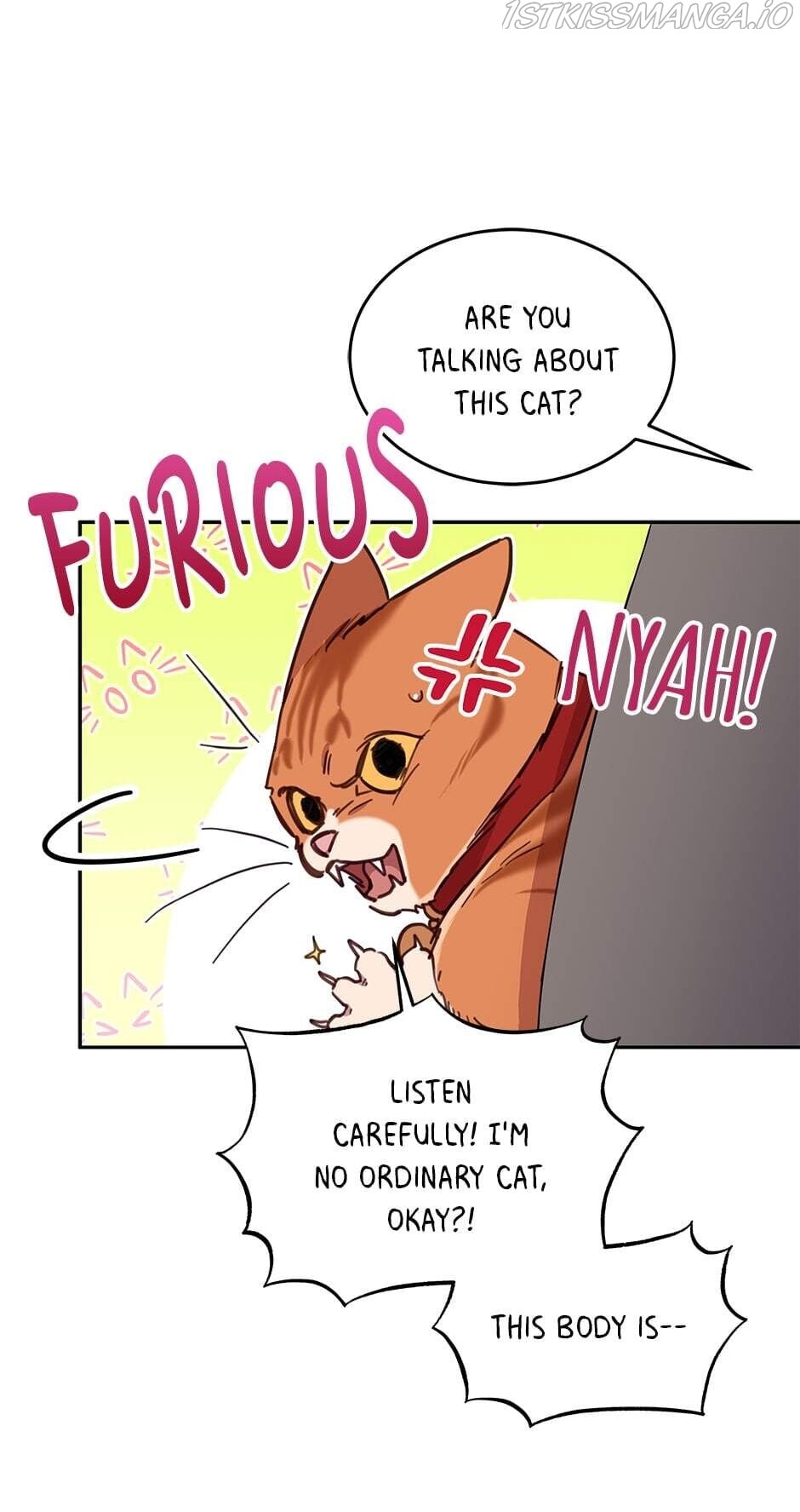 An animal hospital in the border area chapter 28 - page 40
