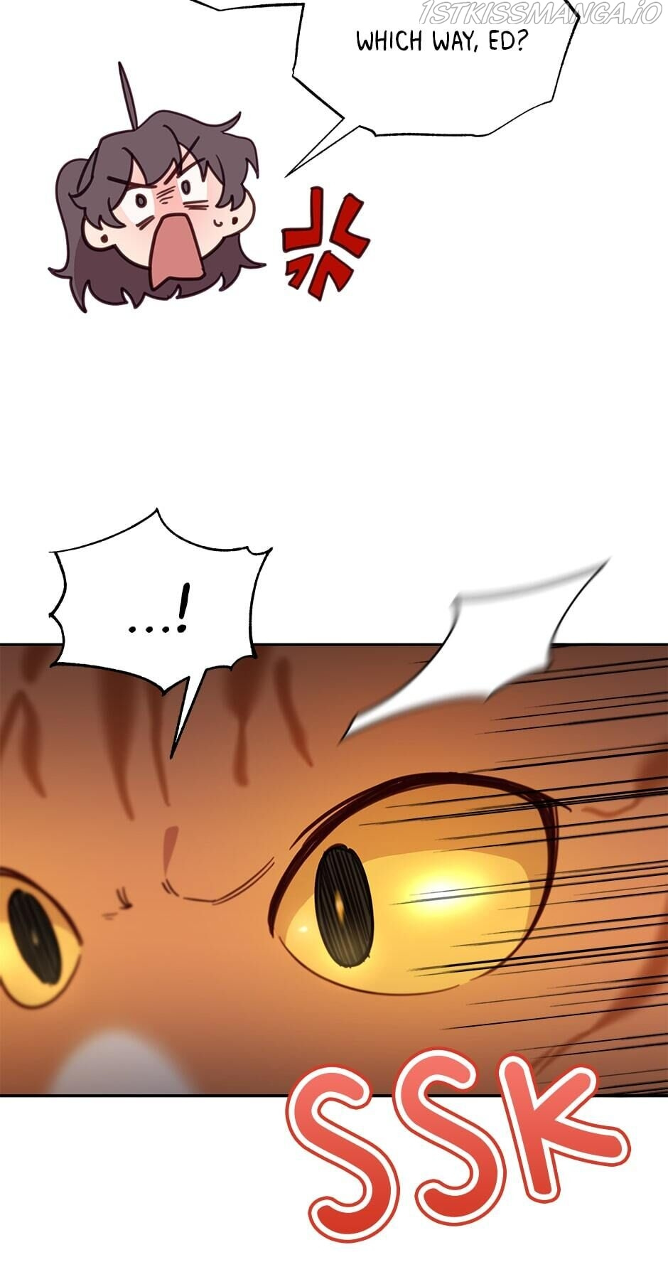 An animal hospital in the border area chapter 28 - page 42