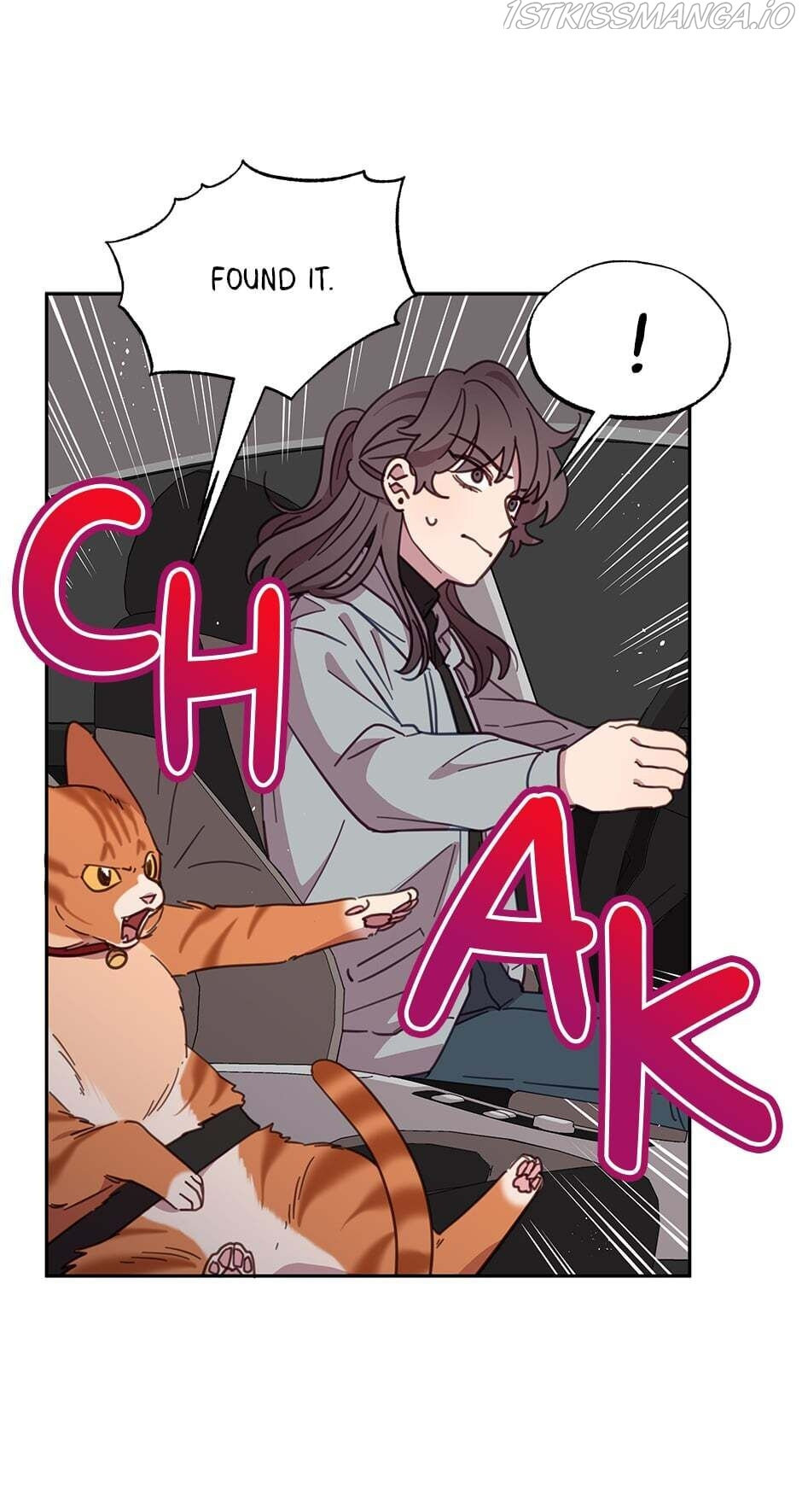 An animal hospital in the border area chapter 28 - page 43
