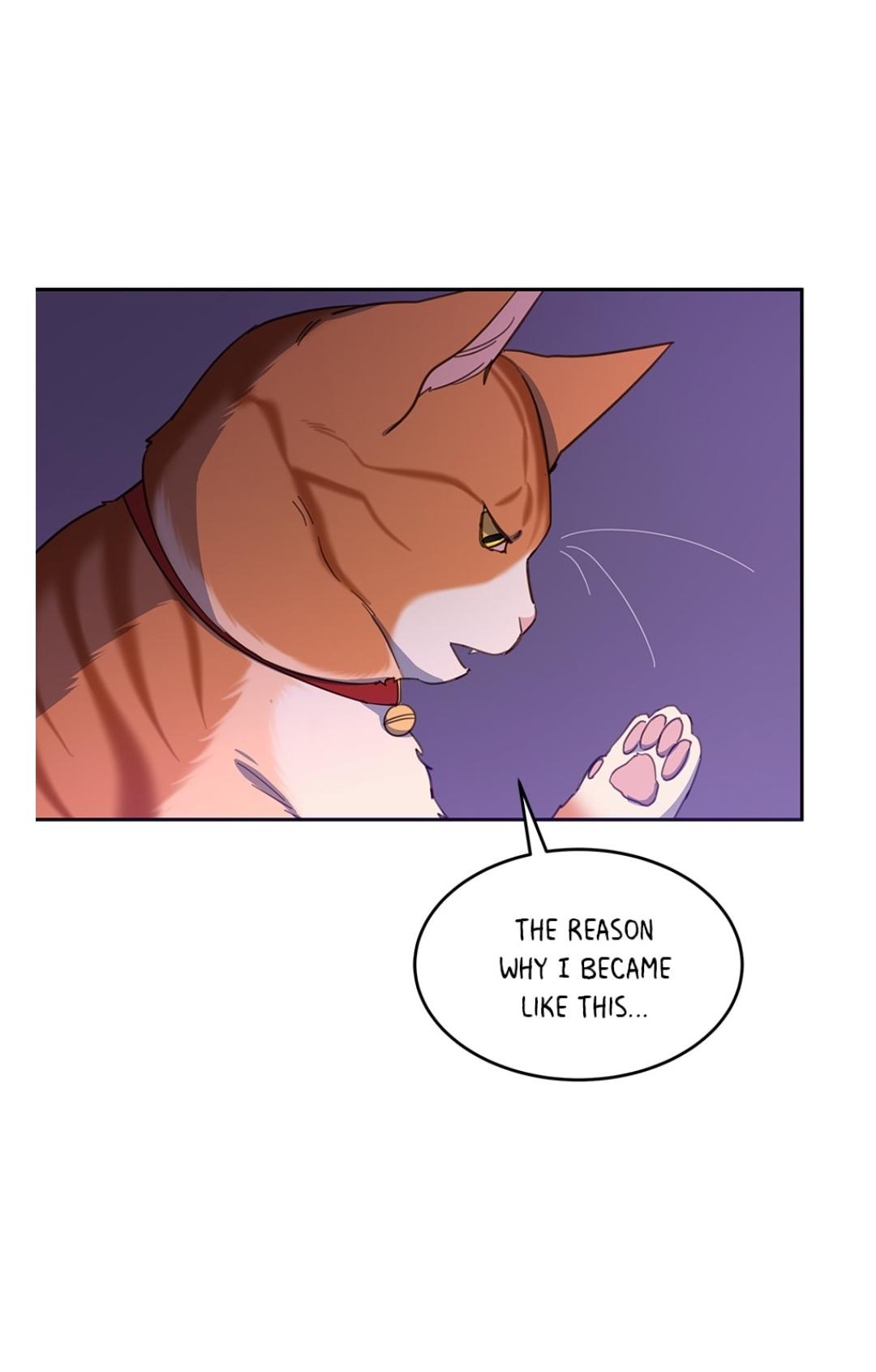 An animal hospital in the border area chapter 11 - page 1